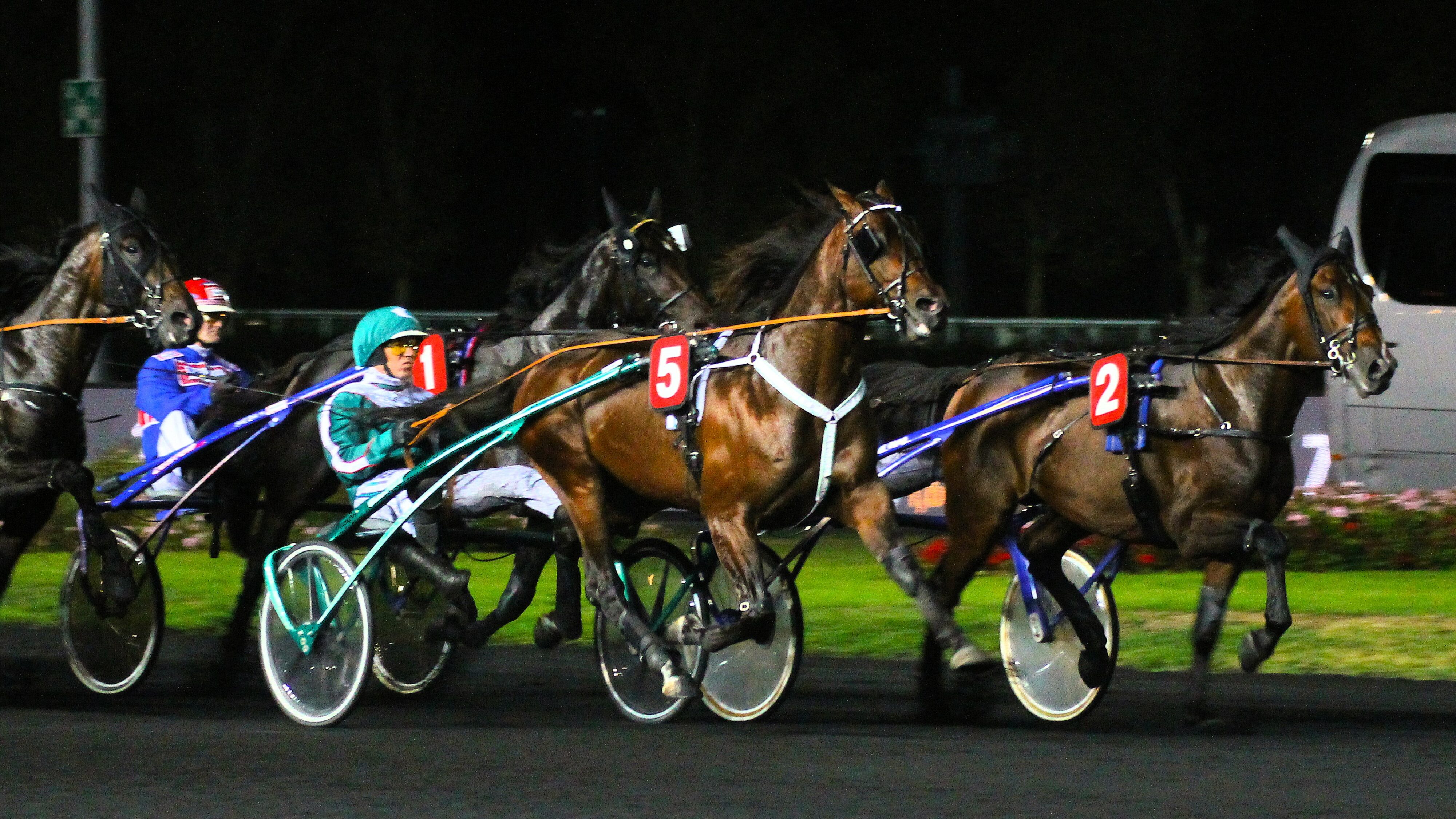 Pronostics presse PMU du vendredi 11 octobre 2024