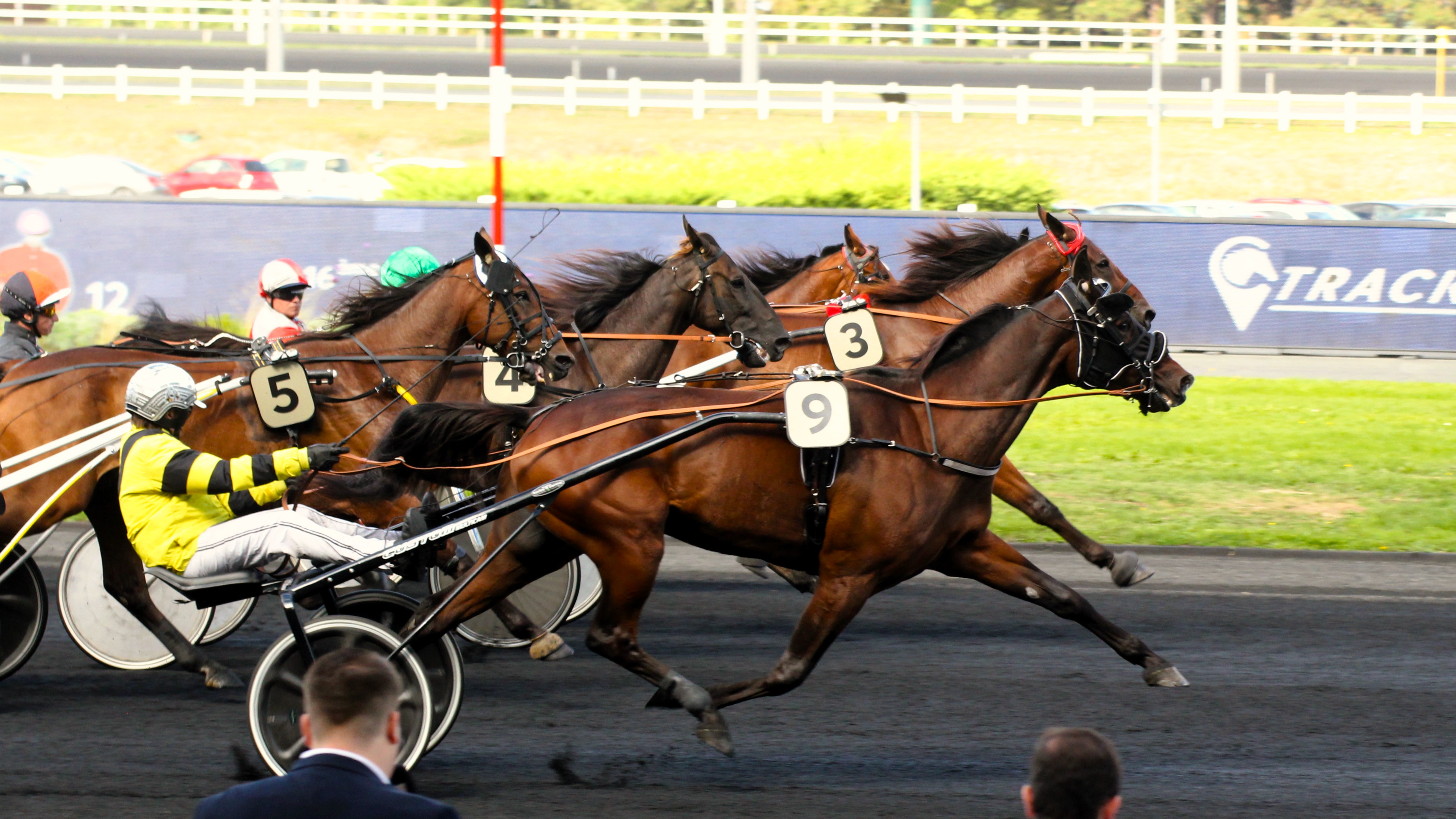 🔎 Pronostic PMU du jeudi 19/09/2024 : base et tocard pour le Quinté du jour à Vincennes