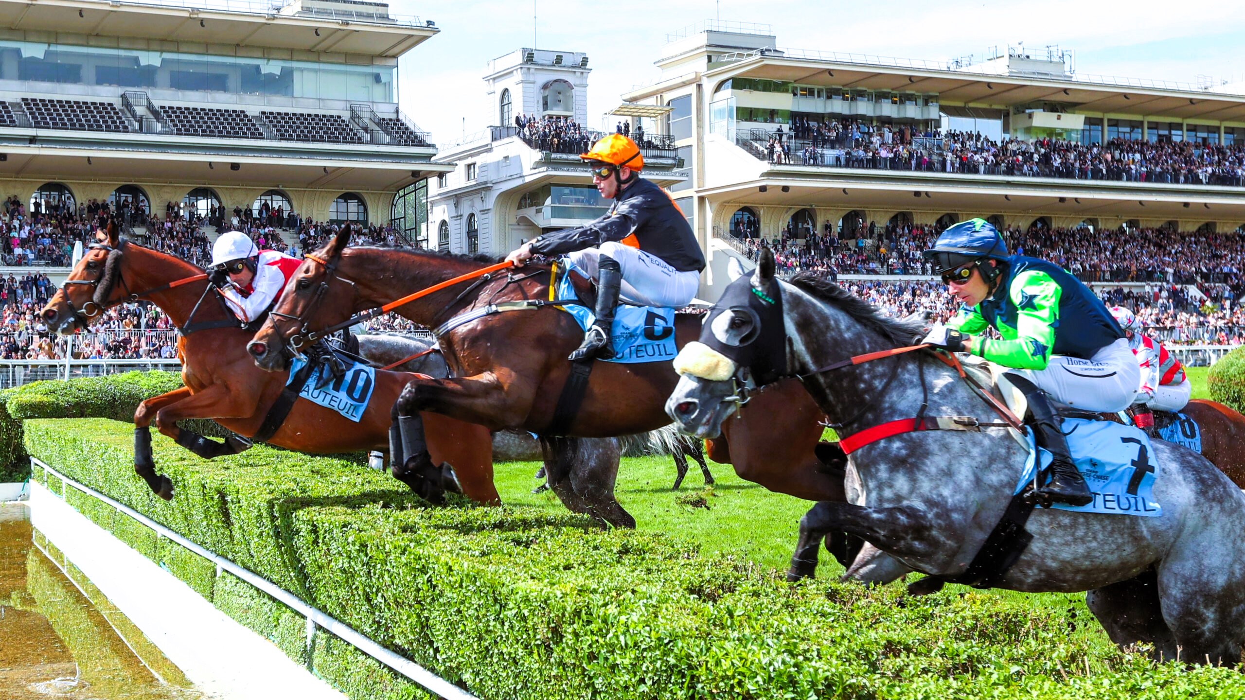 Pronostic quinté du samedi 28 septembre 2024 à Auteuil