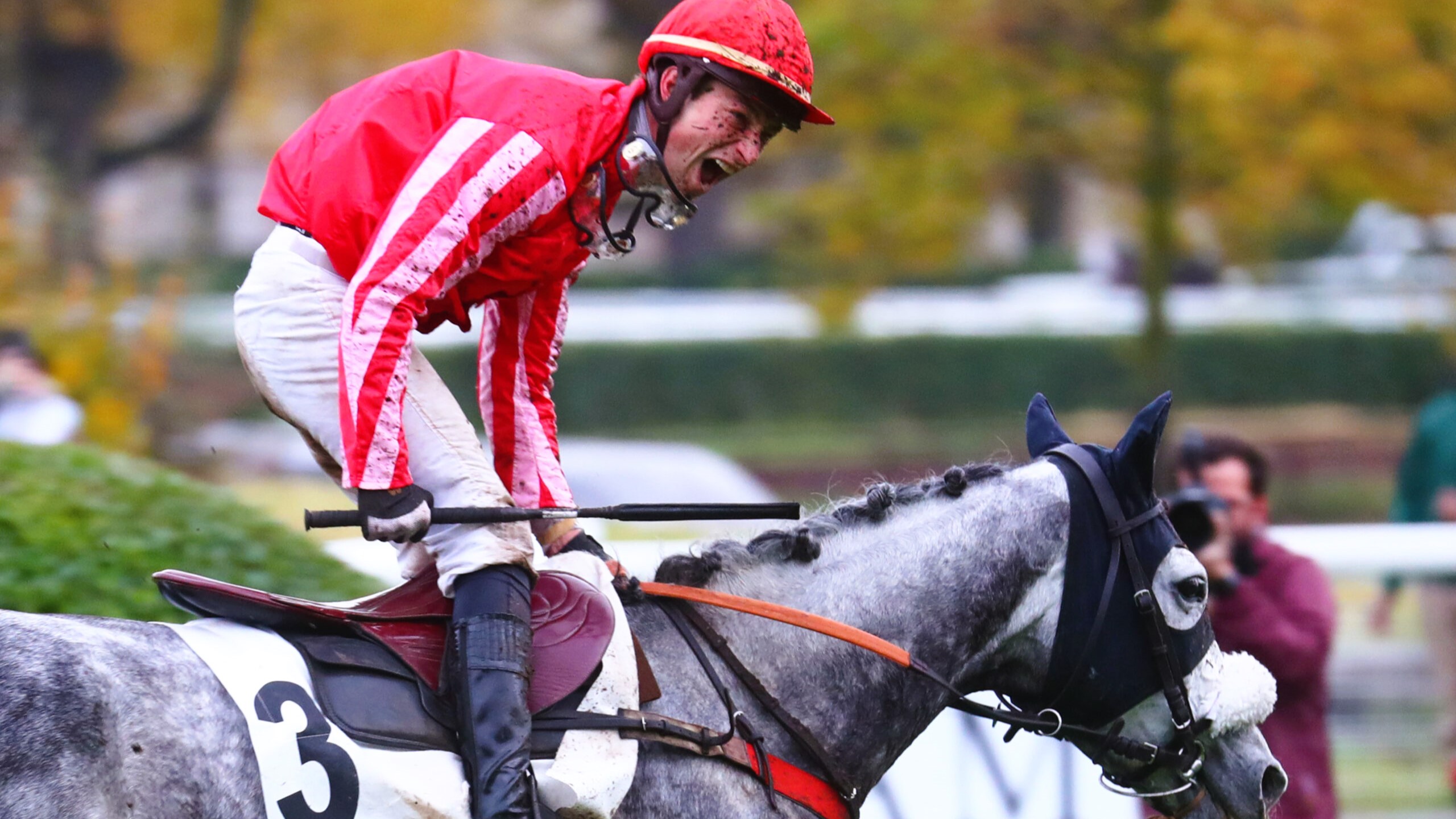 Pronostic quinte samedi 19 octobre 2024
