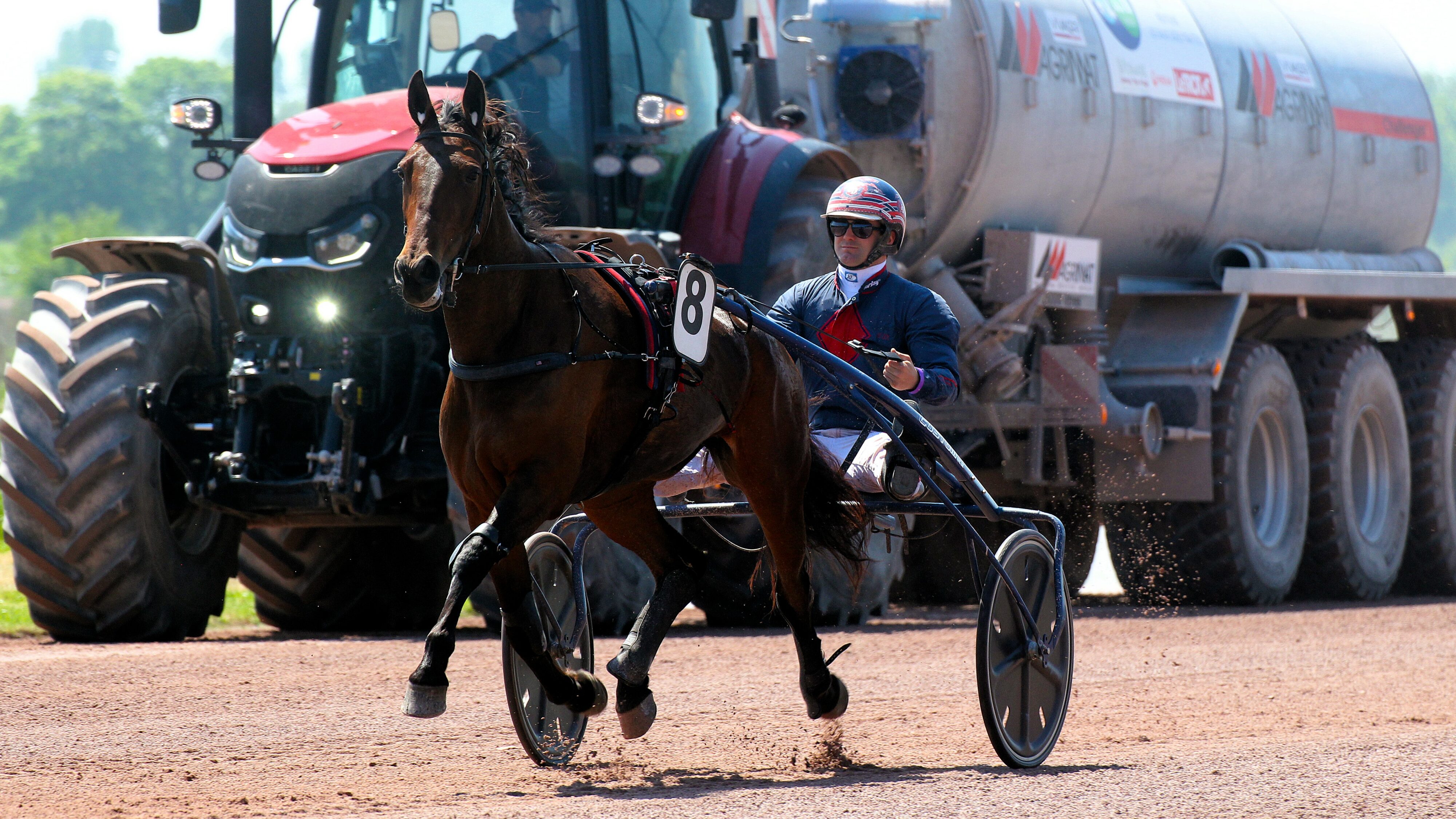 Résultat PMU du samedi 12 octobre 2024