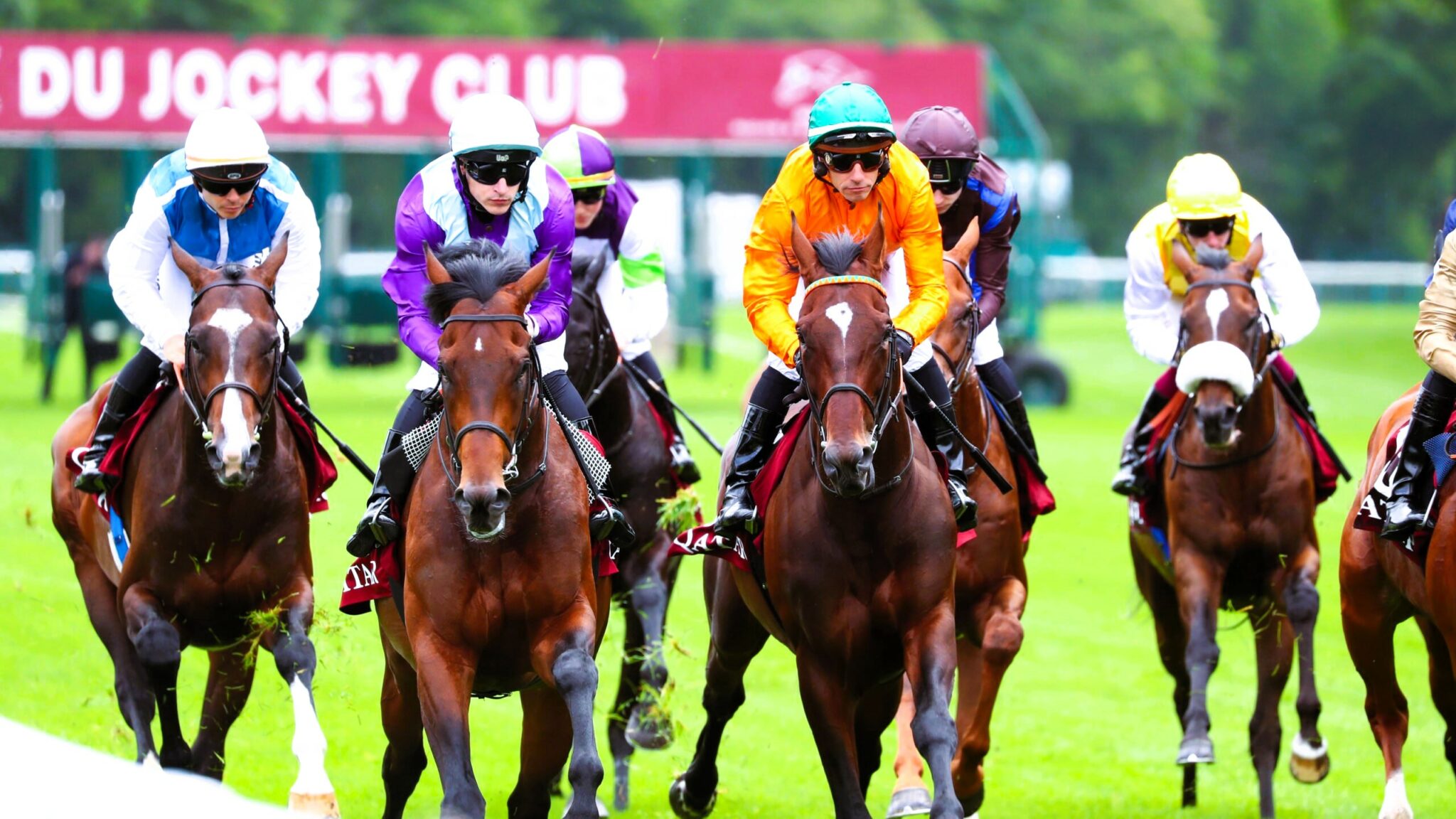 Résultat PMU du mardi 01/10/2024 Arrivée du Quinté à Chantilly