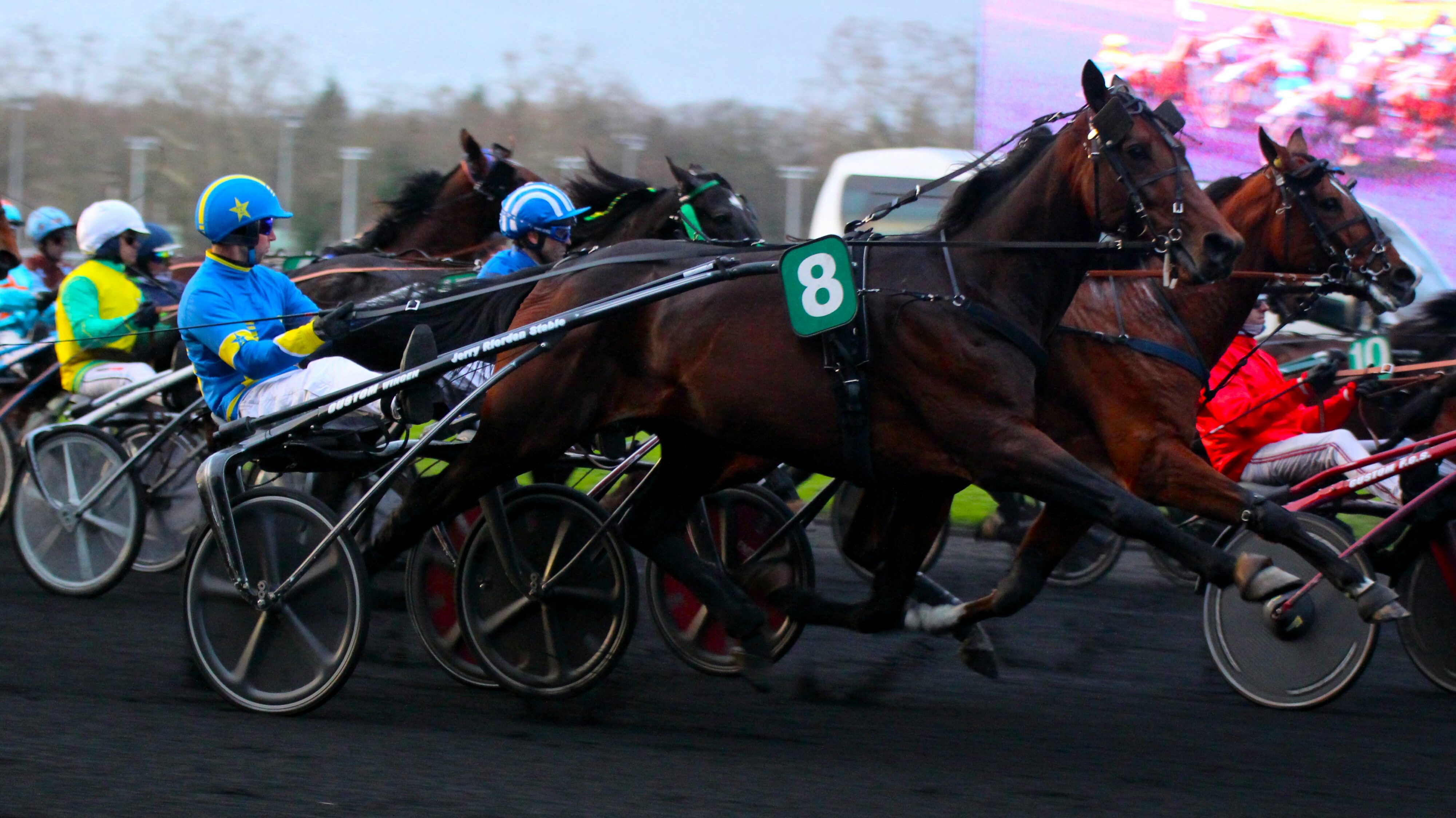 Pronostic Quinté du jeudi 31 octobre 2024