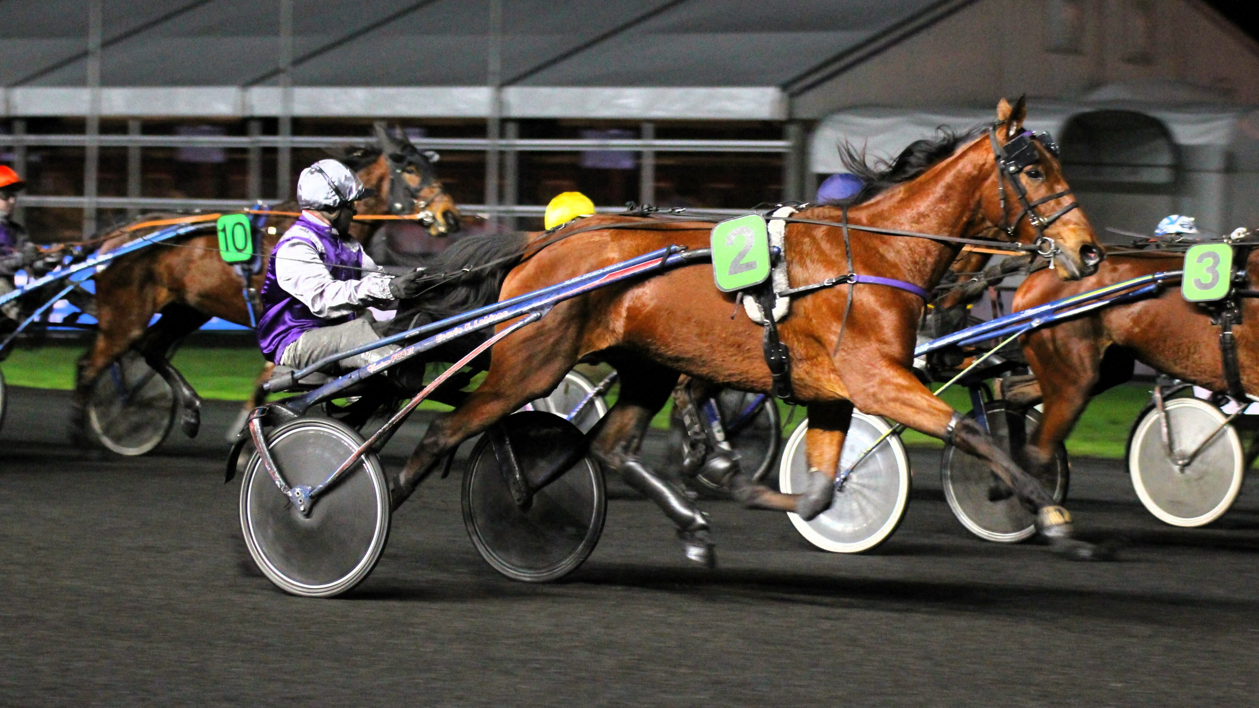 Pronostic Quinté du vendredi 25 octobre 2024