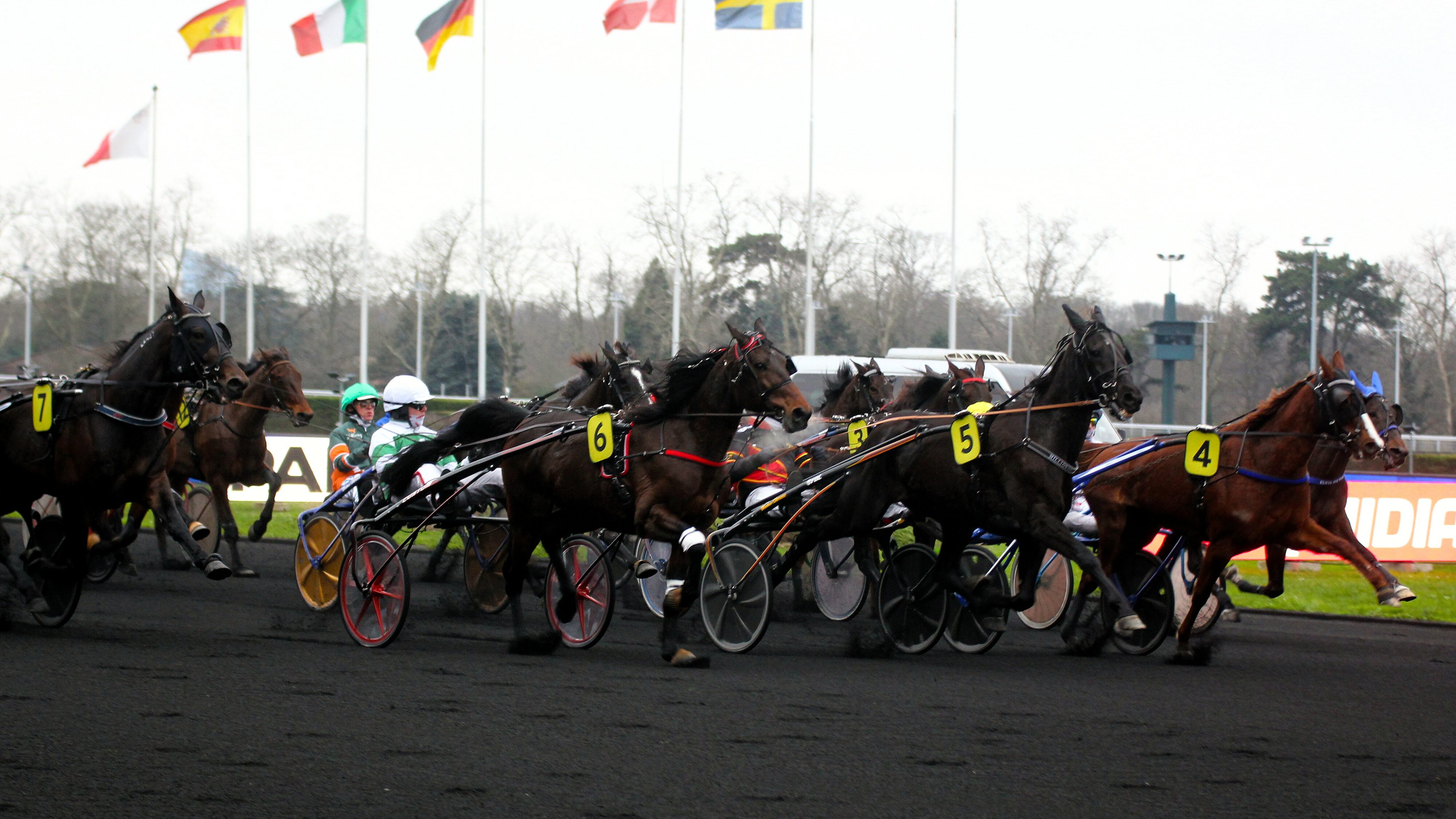 Pronostic Quinté presse PMU du jeudi 31 octobre 2024