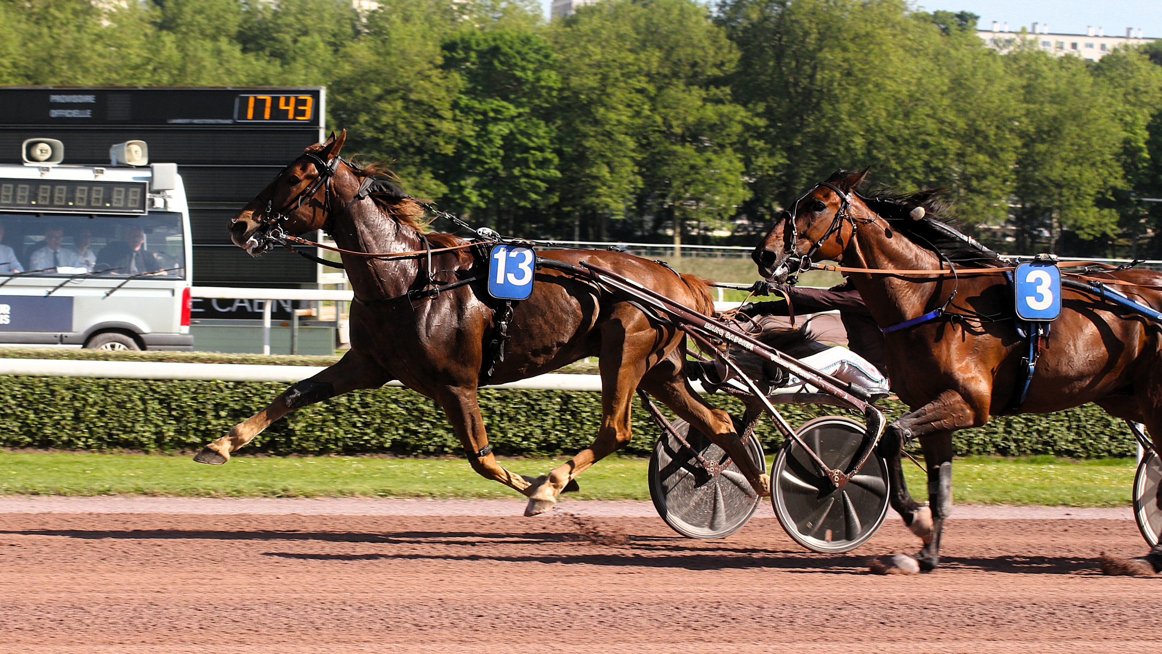 Pronostic quinté samedi 12 octobre 2024