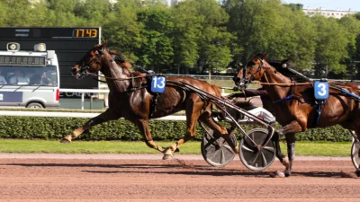 Pronostic quinté samedi 12 octobre 2024