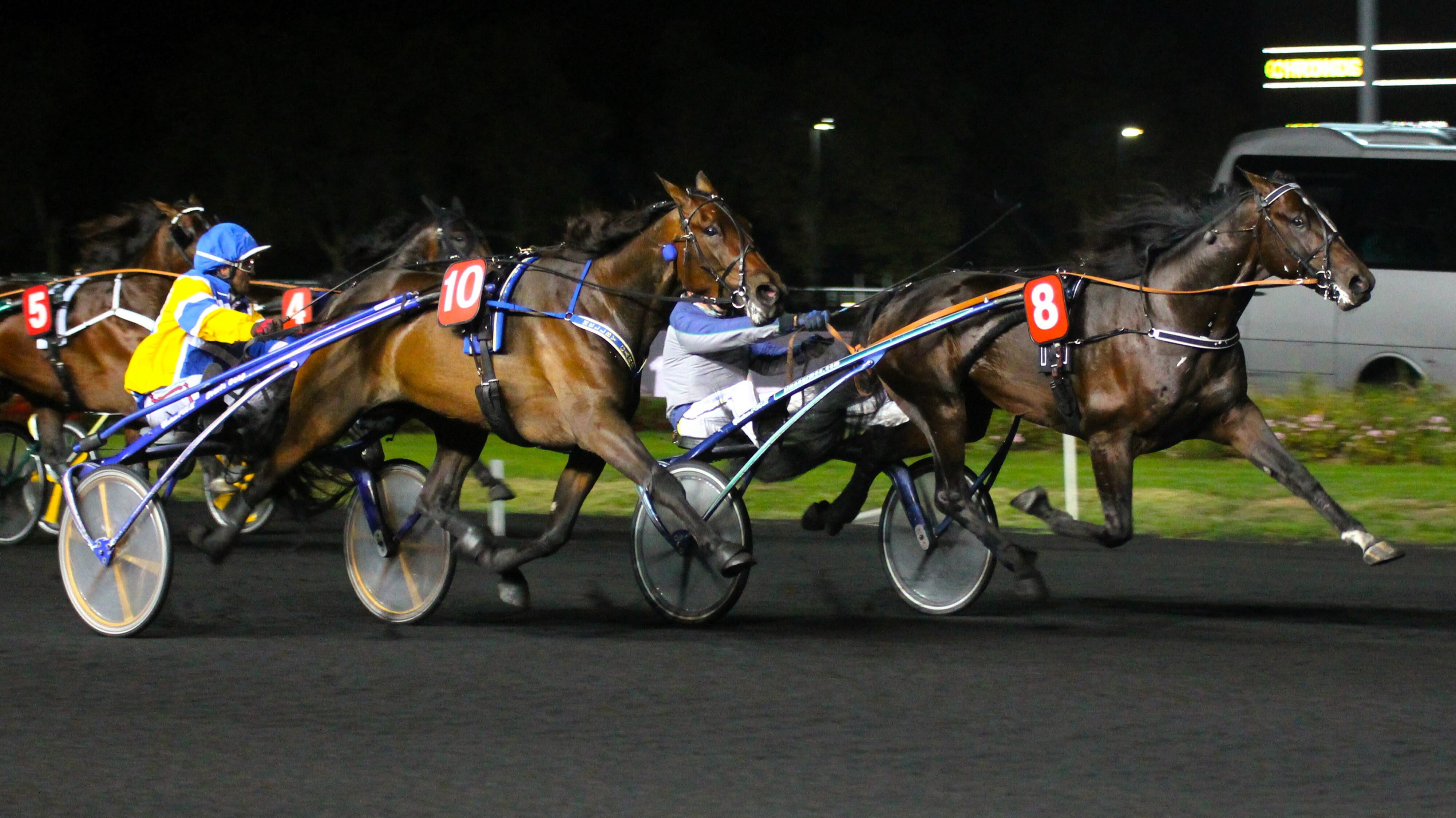 Résultat PMU du vendredi 11 octobre 2024