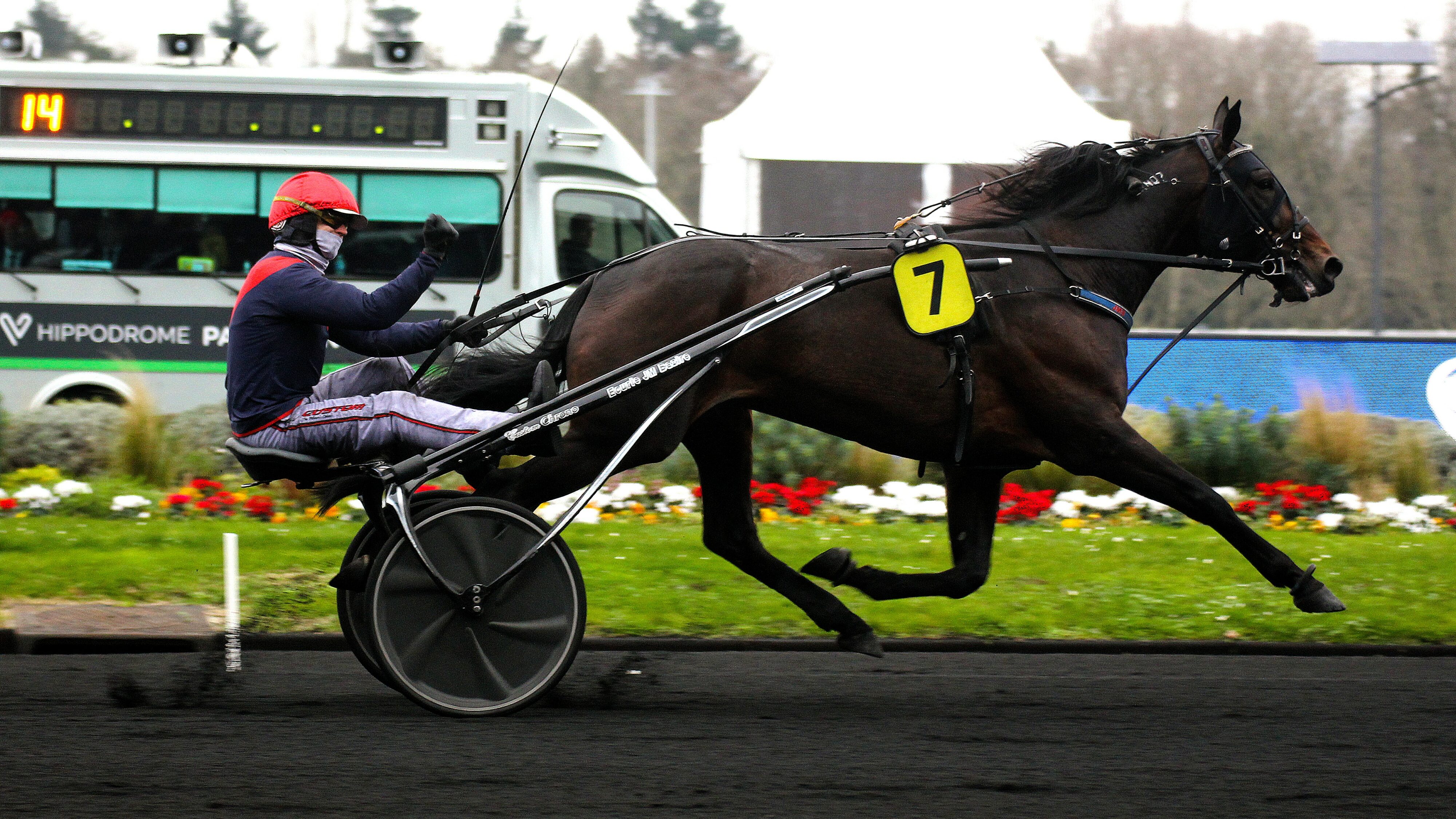 Résultat Quinté du jeudi 30 octobre 2024