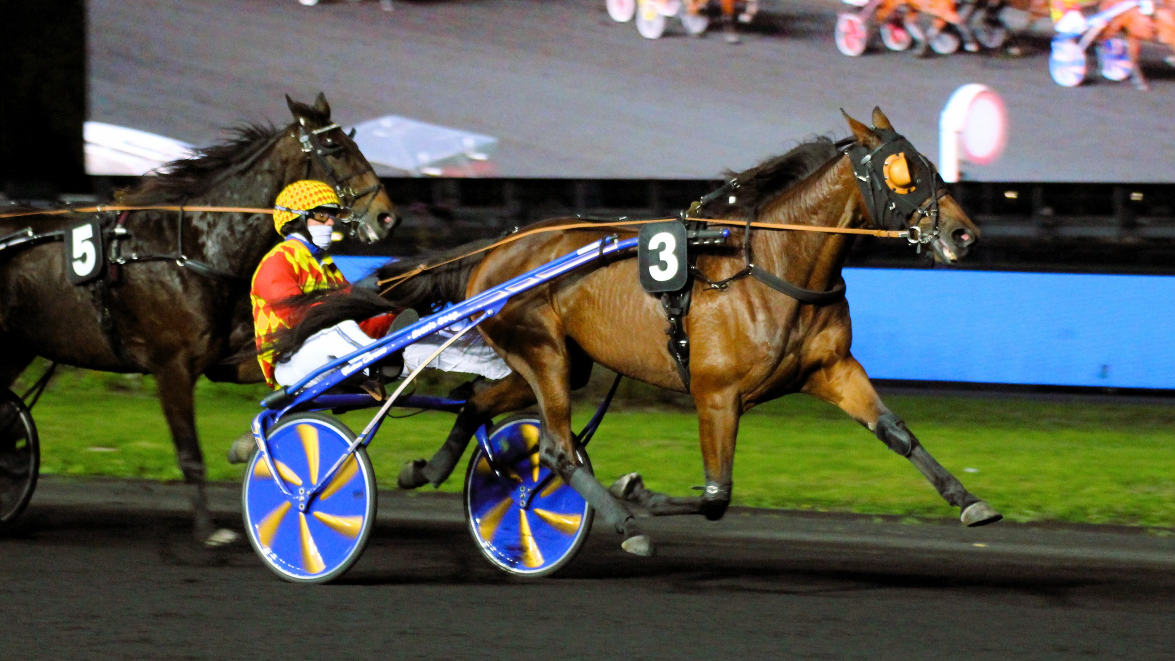 Resultat Quinté vendredi 18 octobre 2024