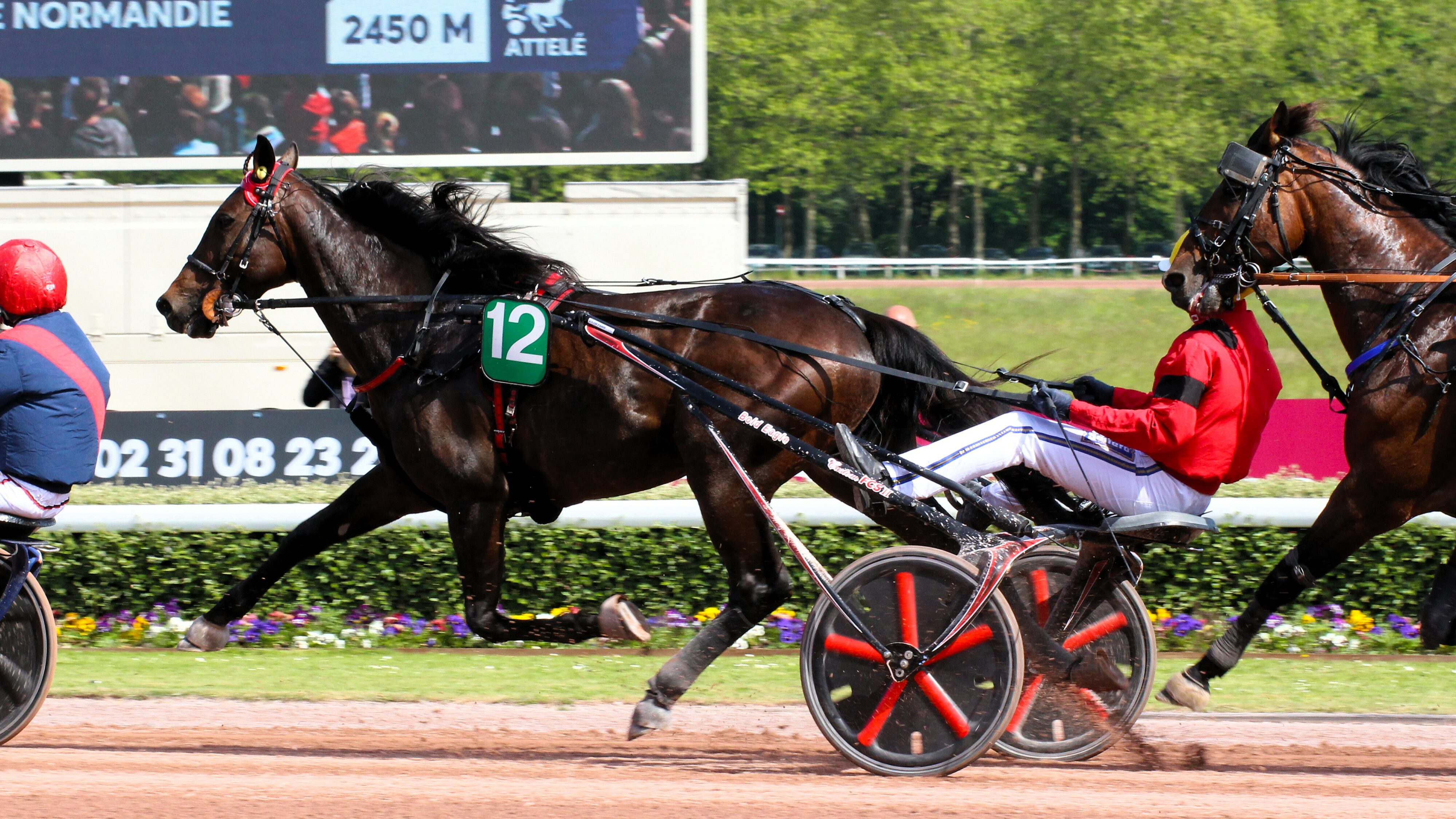 Resultat quinté mercredi 23 octobre 2024