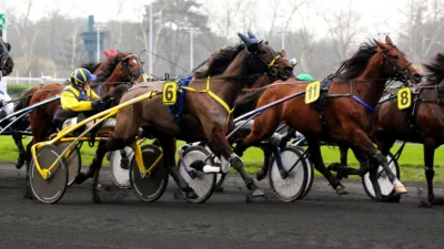 cheval du jour