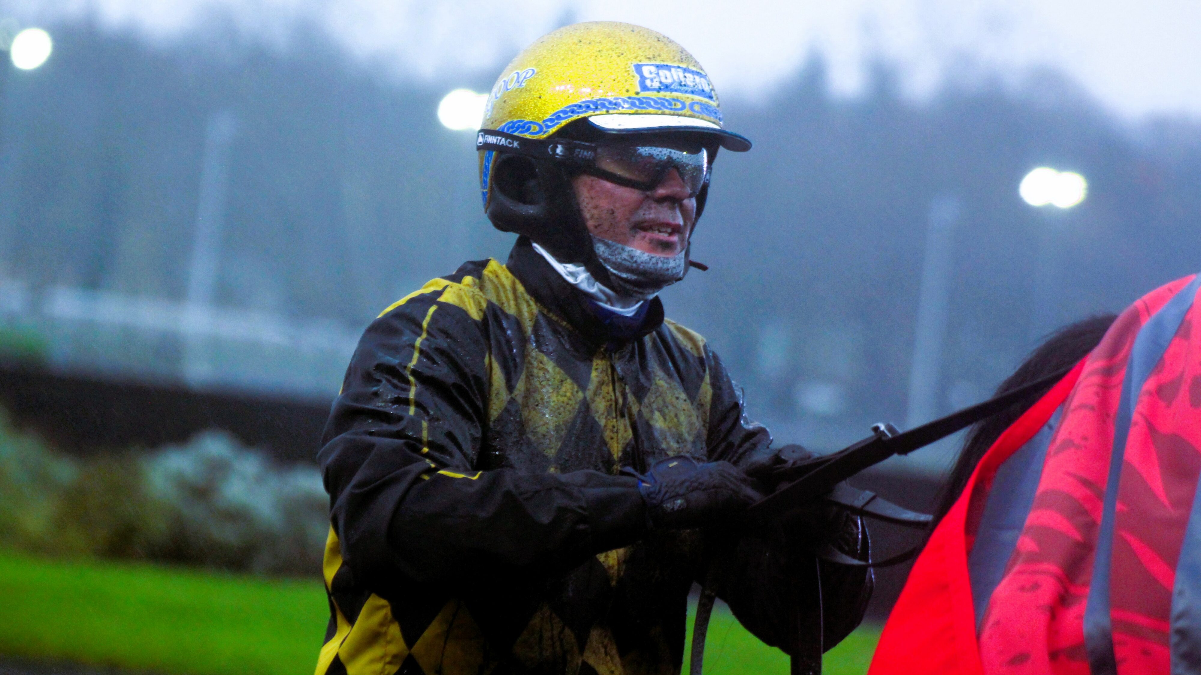 Pronostic quinté du dimanche 17 novembre 2024