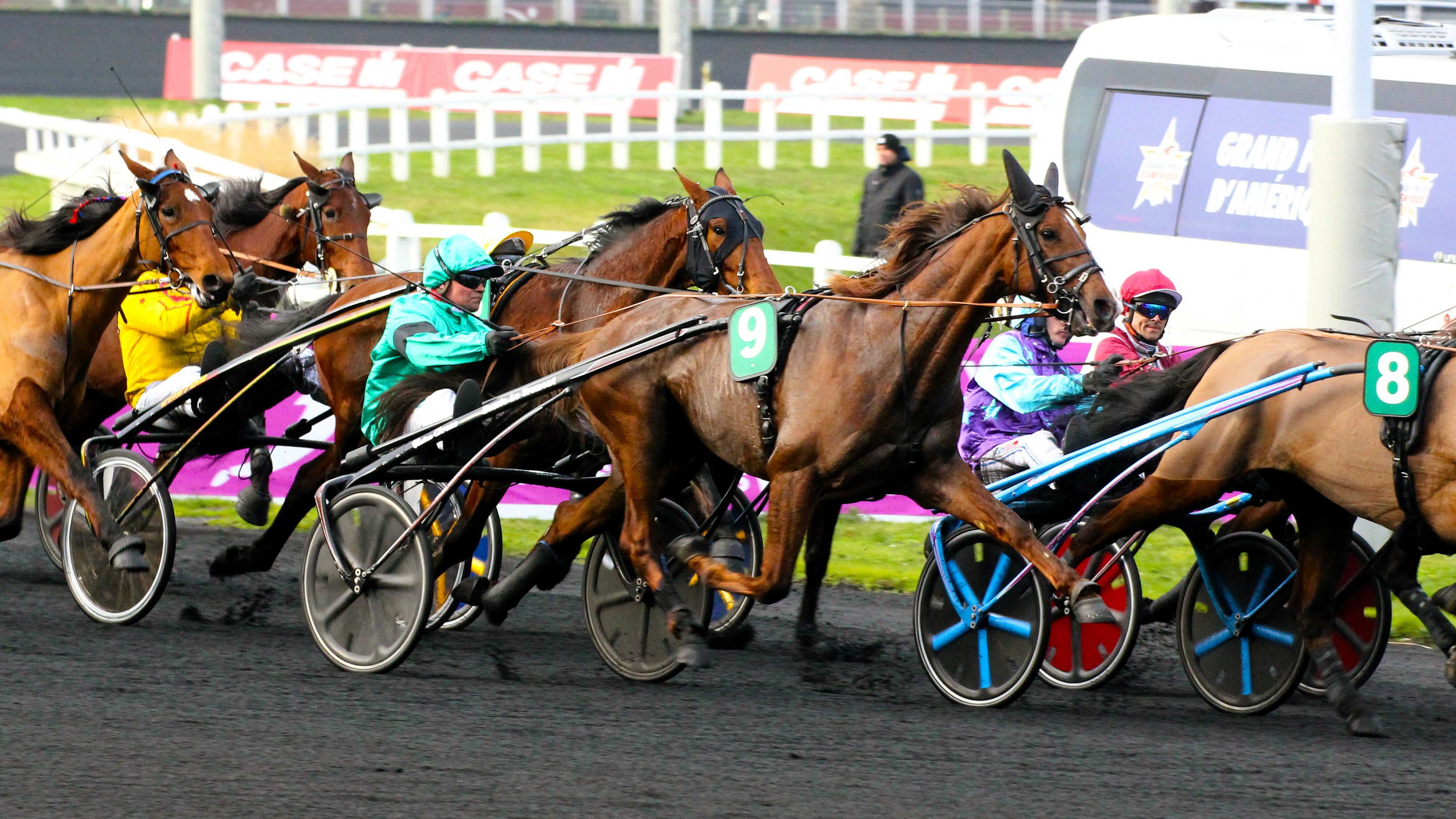 Pronostic Quinté presse PMU du mercredi 13 novembre 2024