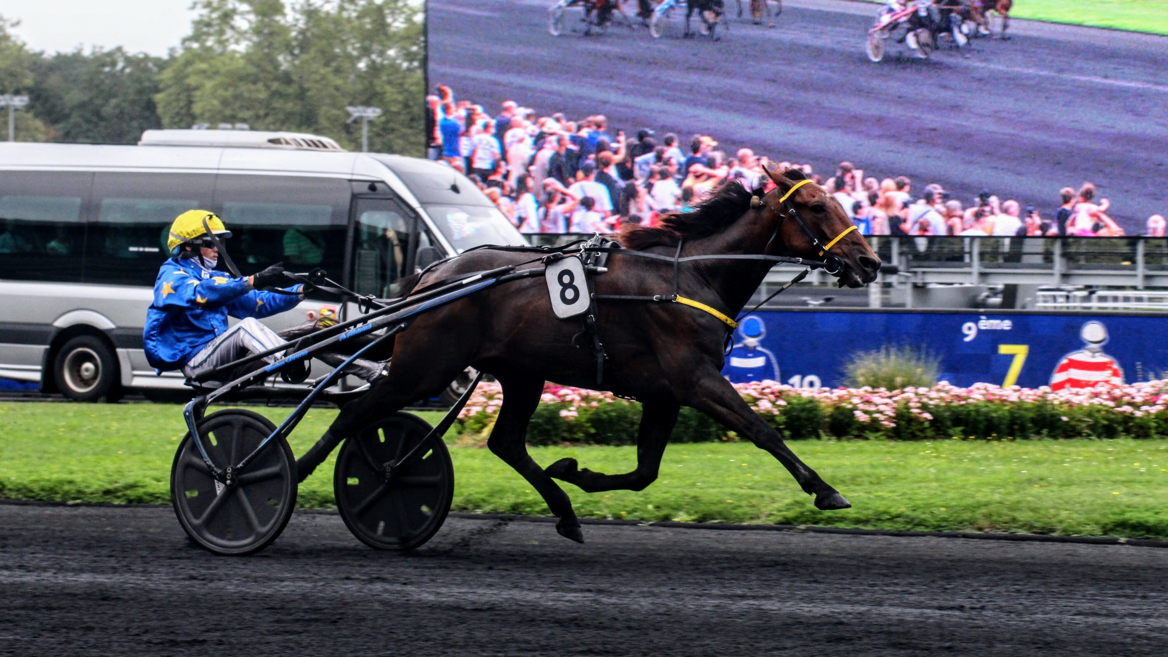 Pronostic Quinté presse du jeudi 21 novembre 2024