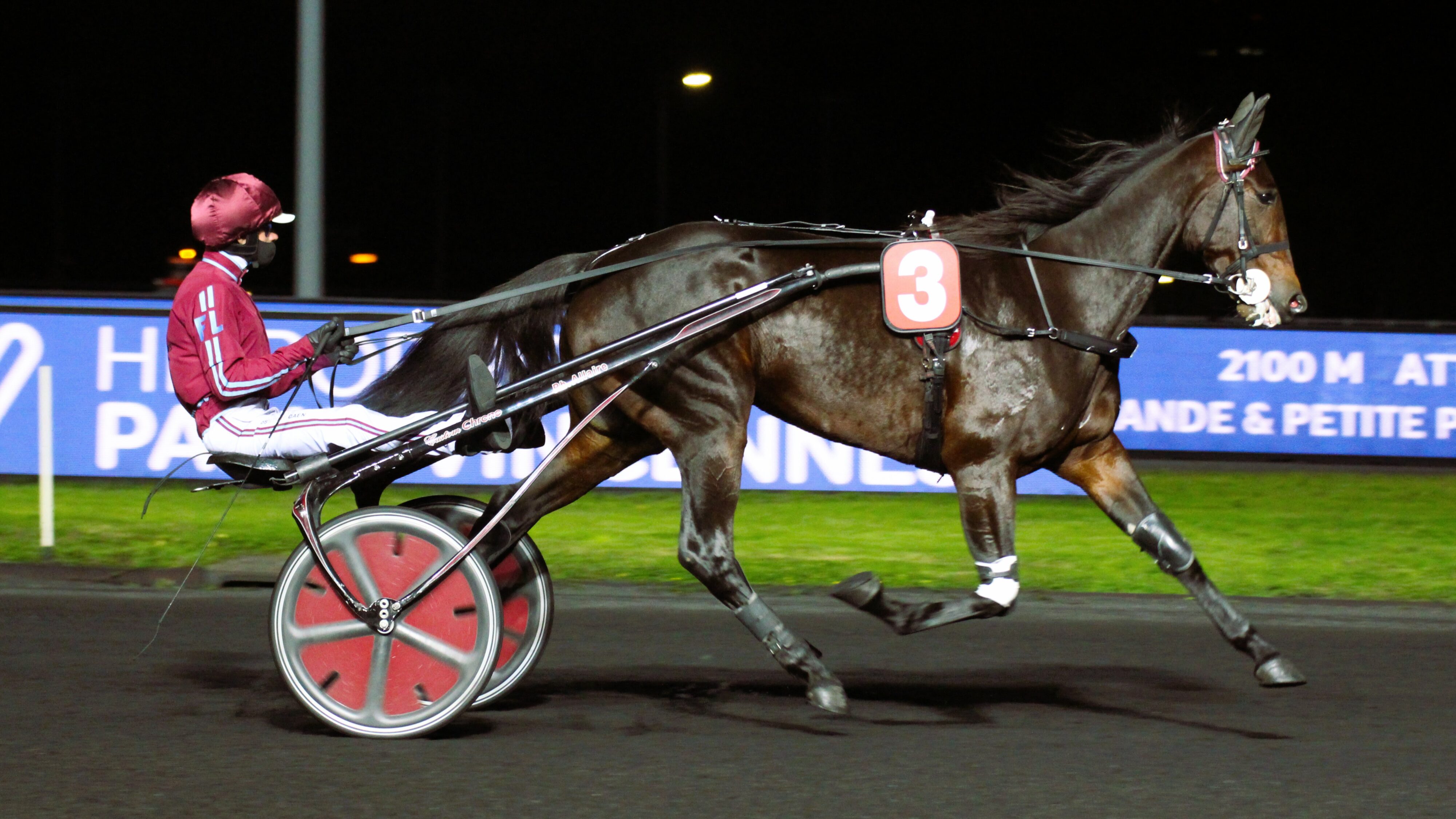 Pronostics Quinté de la presse du vendredi 29 novembre 2024