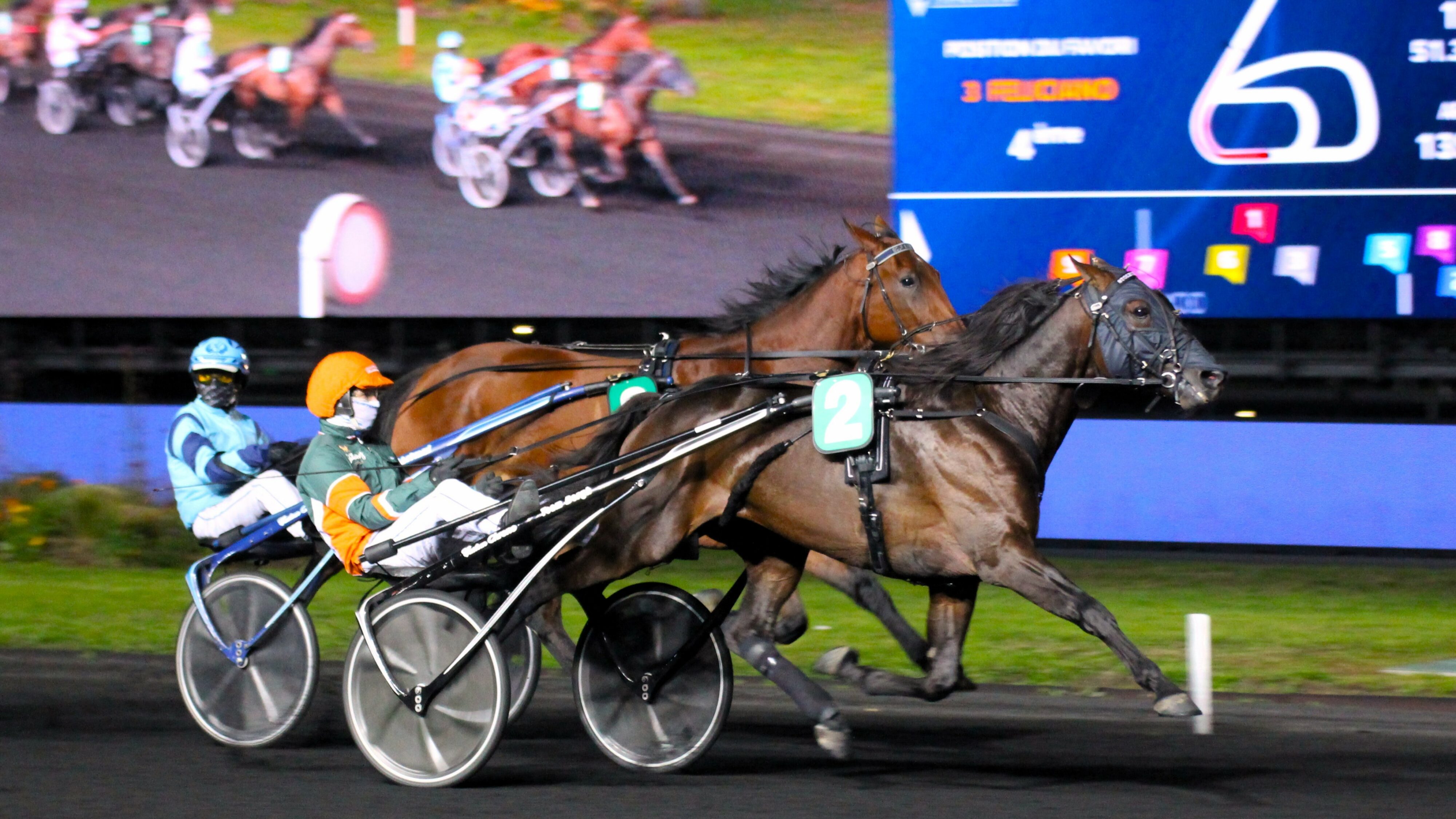 Pronostic quinté du vendredi 29 novembre 2024