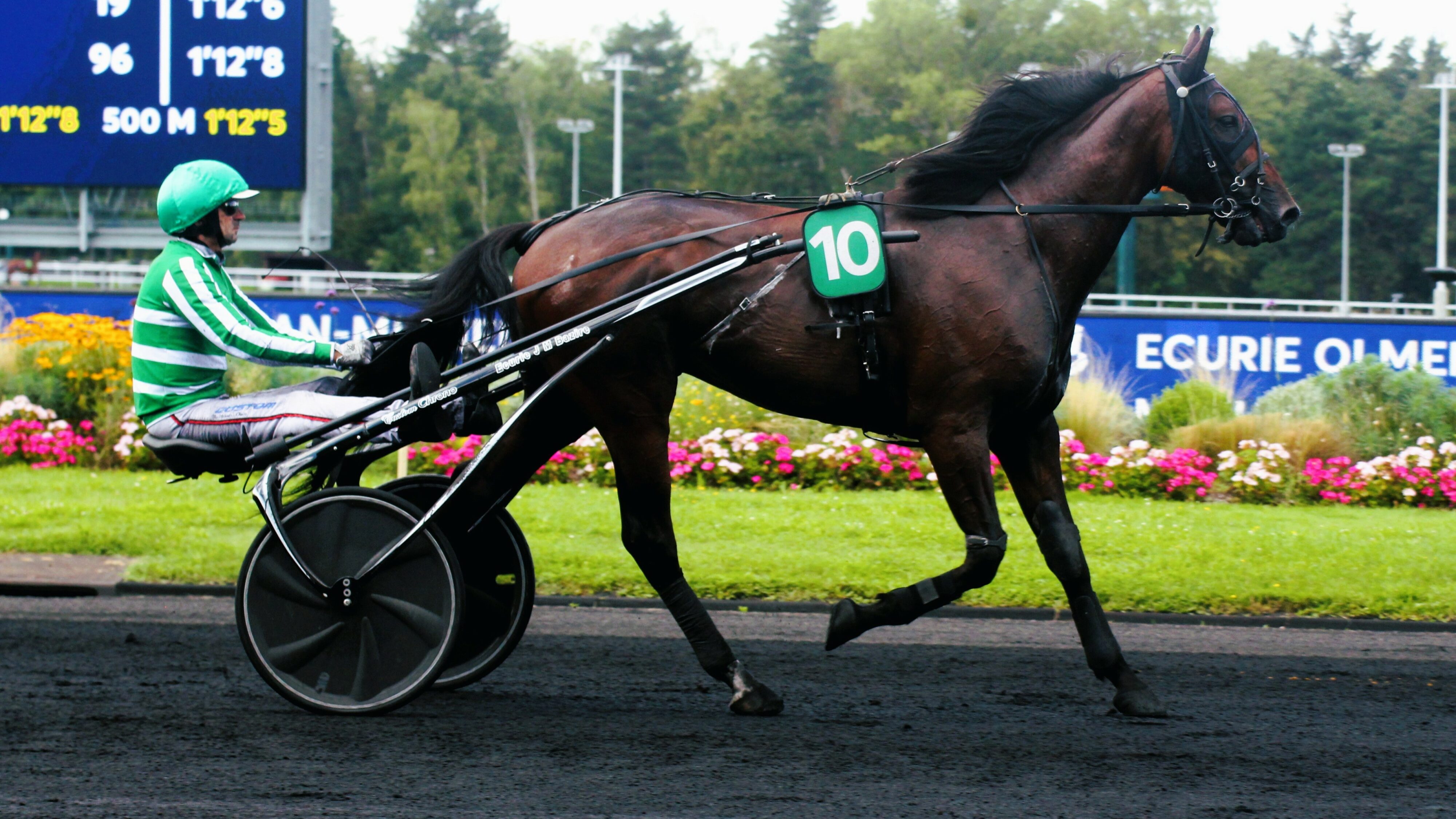 Pronostic presse PMU du mardi 5 novembre 2024