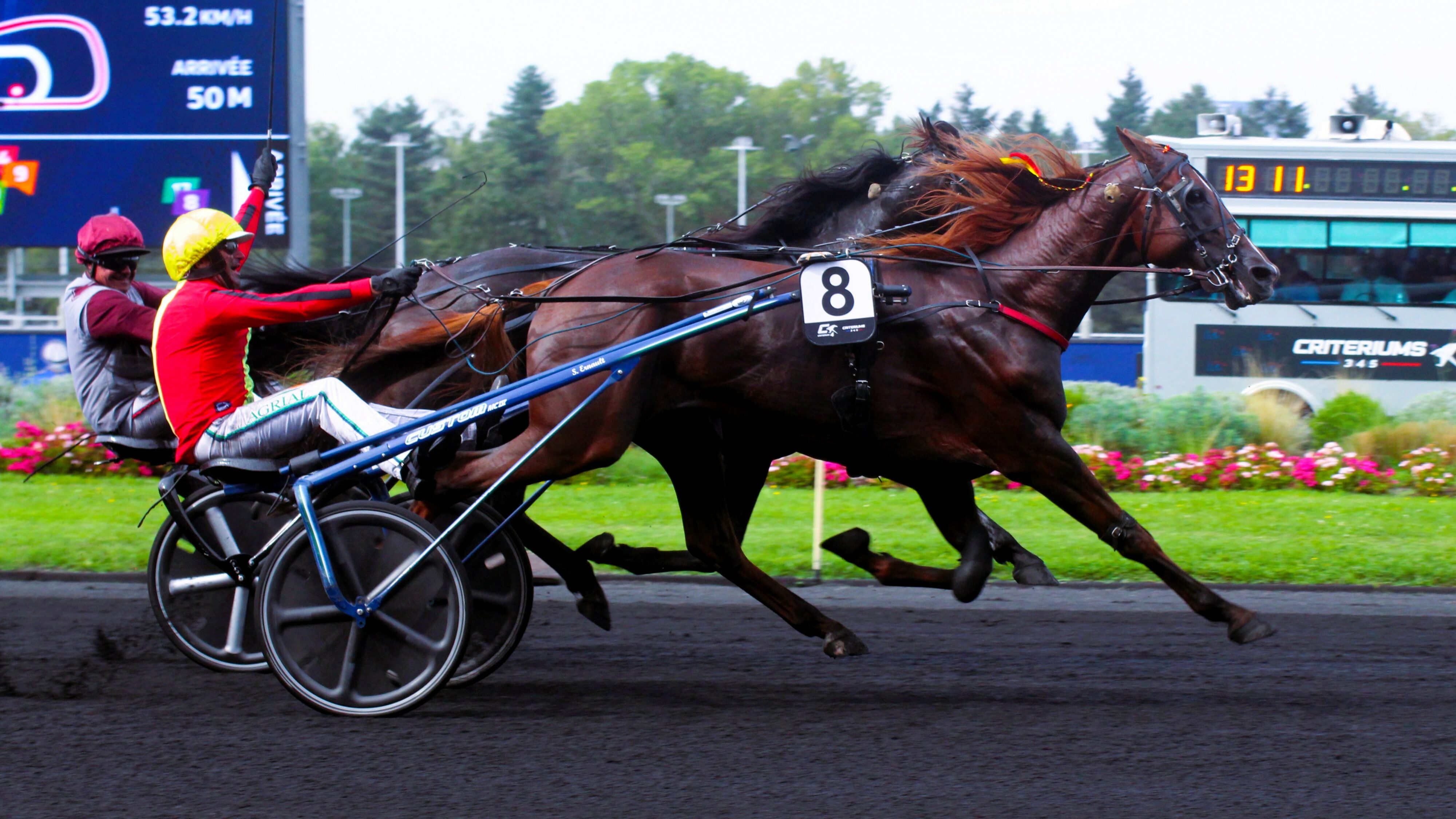 Résultat quinté du dimanche 17 novembre 2024 à Vincennes