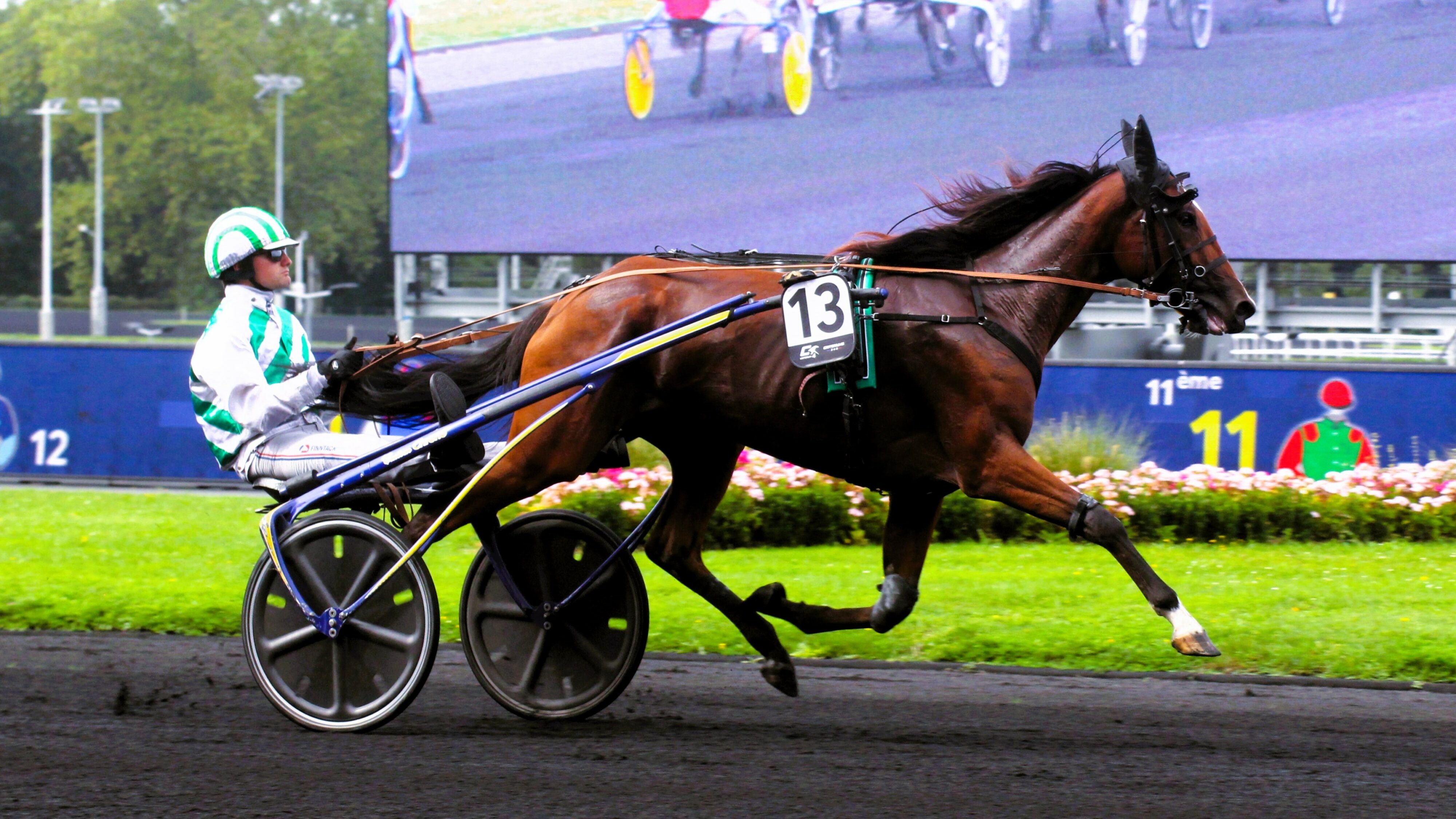 Resultat quinté du lundi 18 novembre 2024