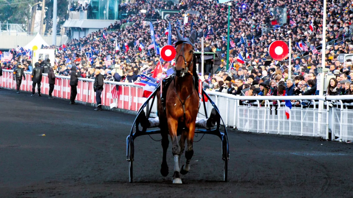 Pronostic Quinté du mercredi 4 décembre 2024