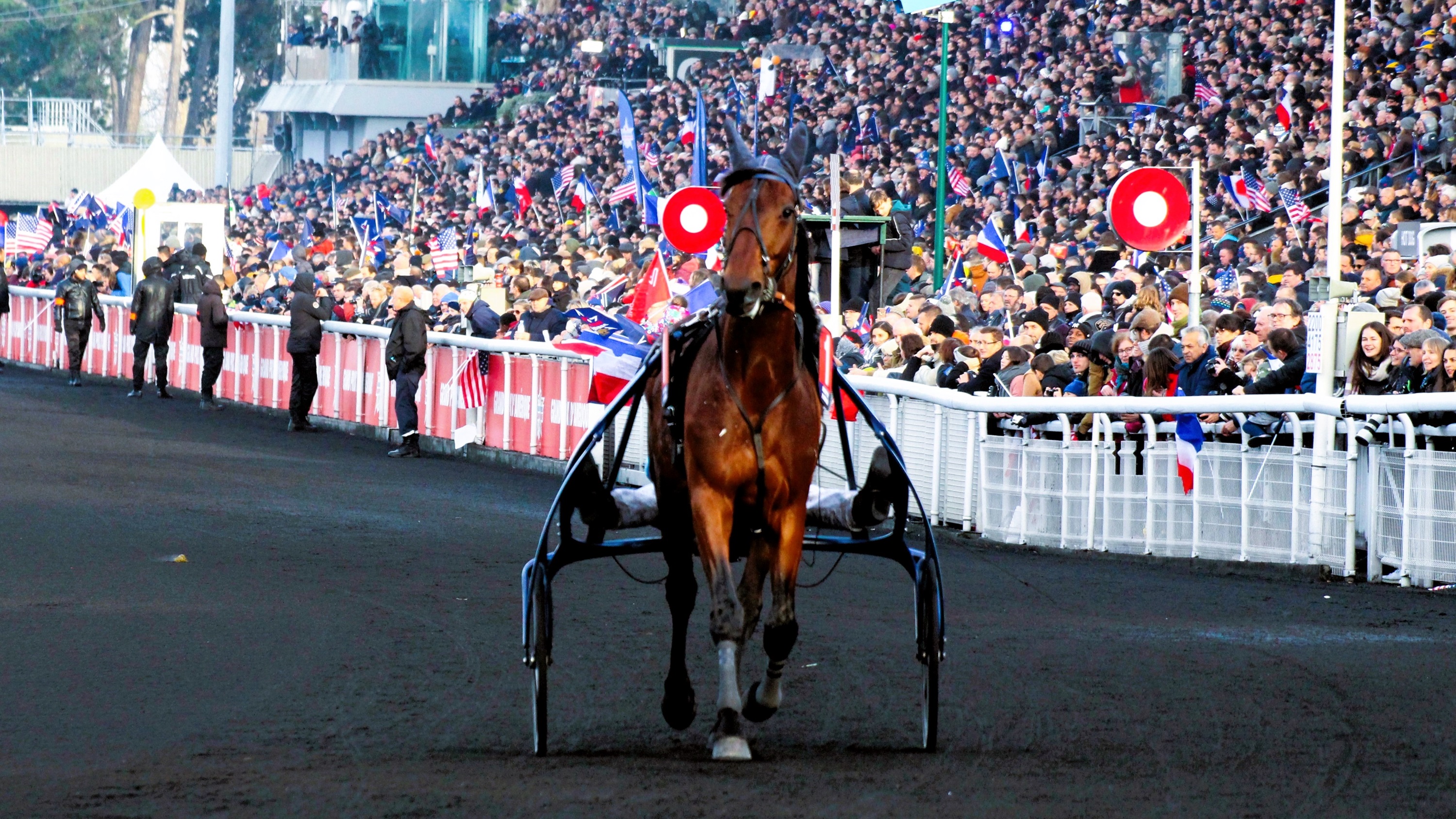Pronostic Quinté du mercredi 4 décembre 2024