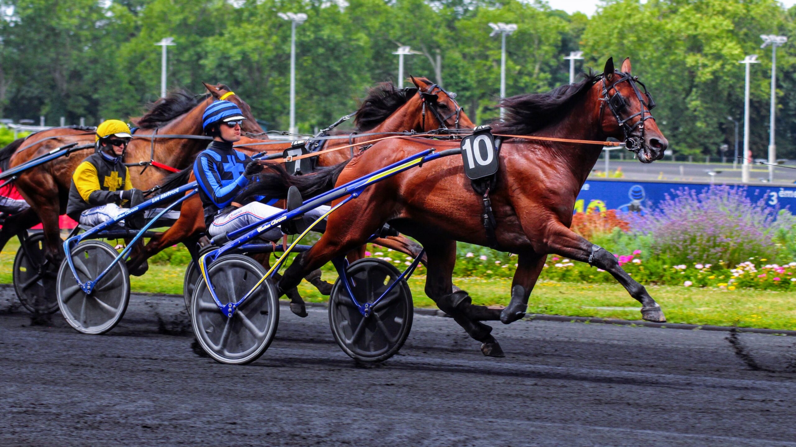 Pronostic quinté du 8 décembre 2024 à Vincennes
