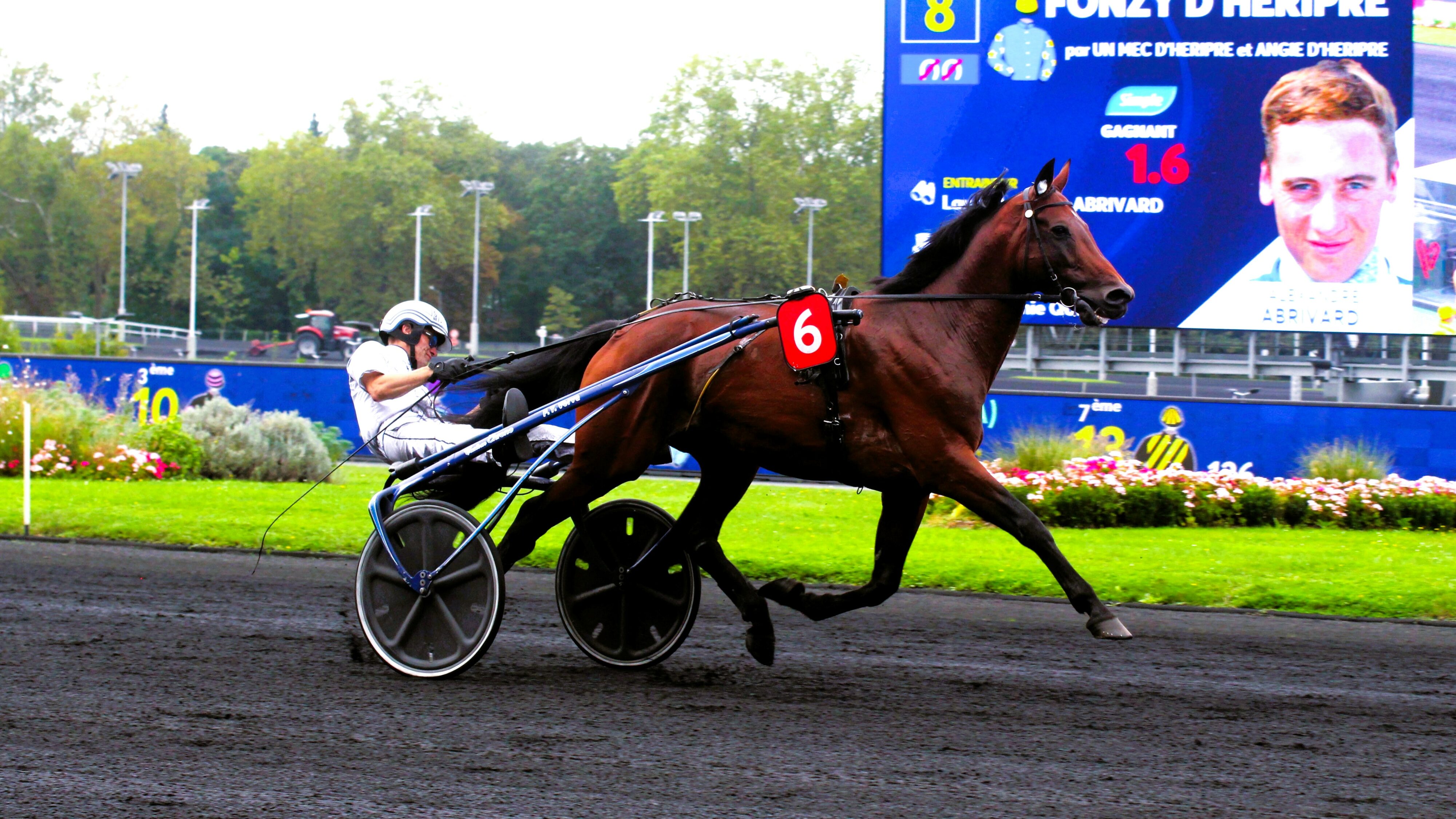 Pronostics quinté presse PMU du dimanche 22 décembre 2024