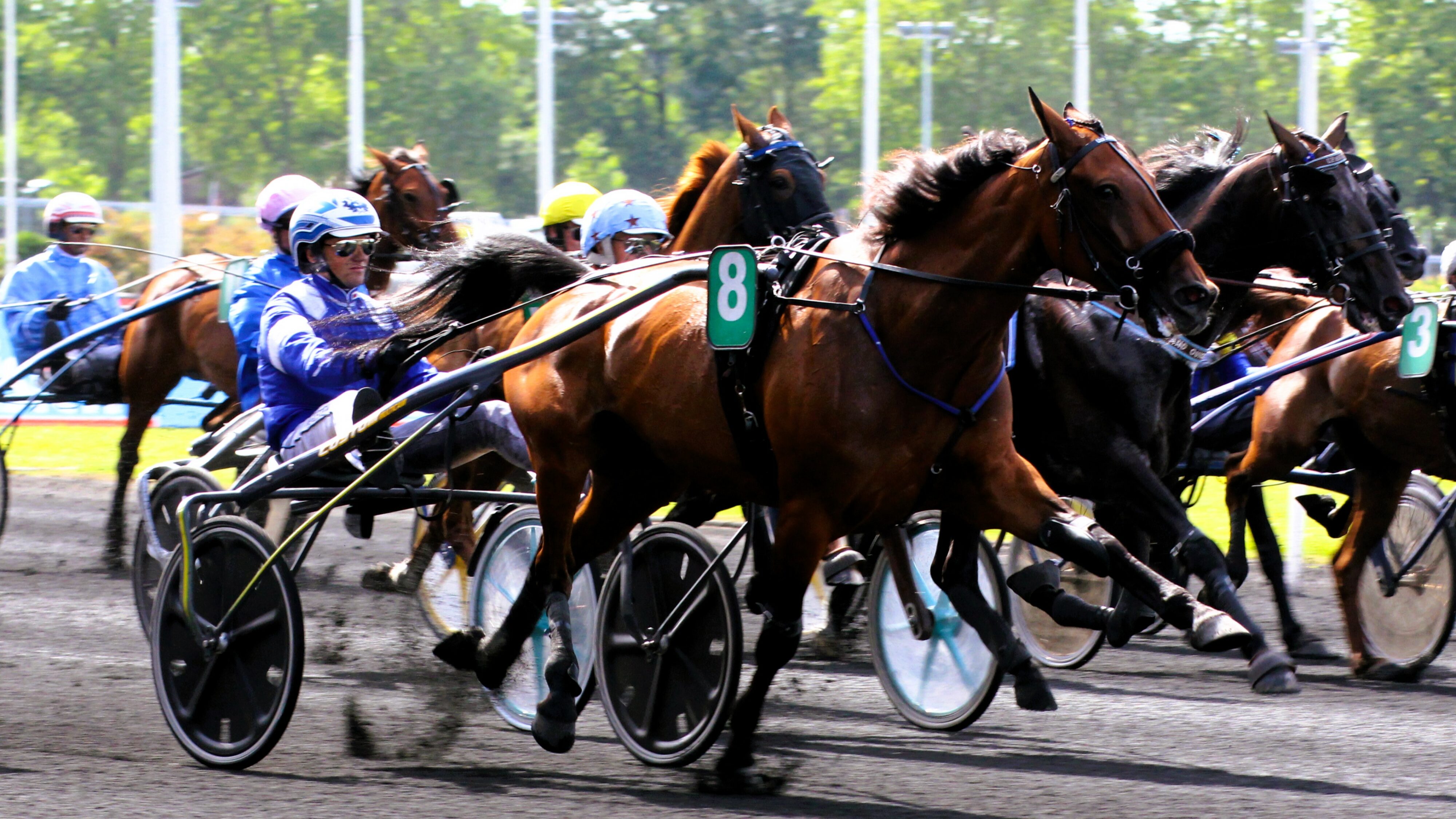 Résultat Quinté du mercredi 1er janvier 2025
