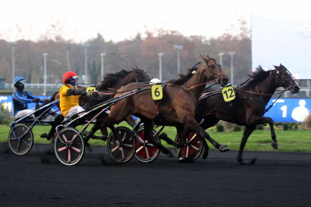 Résultat quinte dimanche 8 décembre 2024
