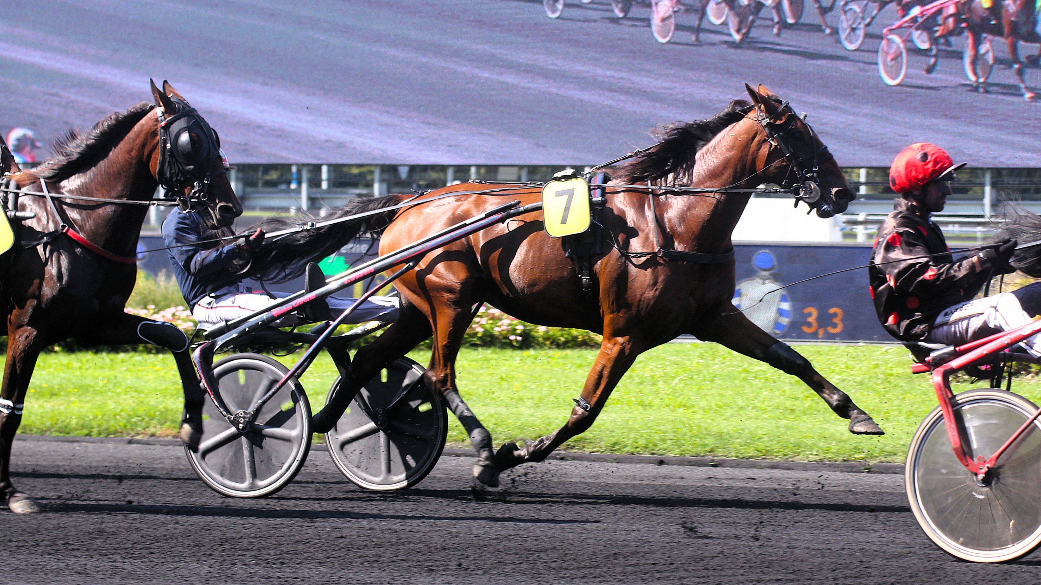 Résultat quinté du samedi 14 décembre 2024