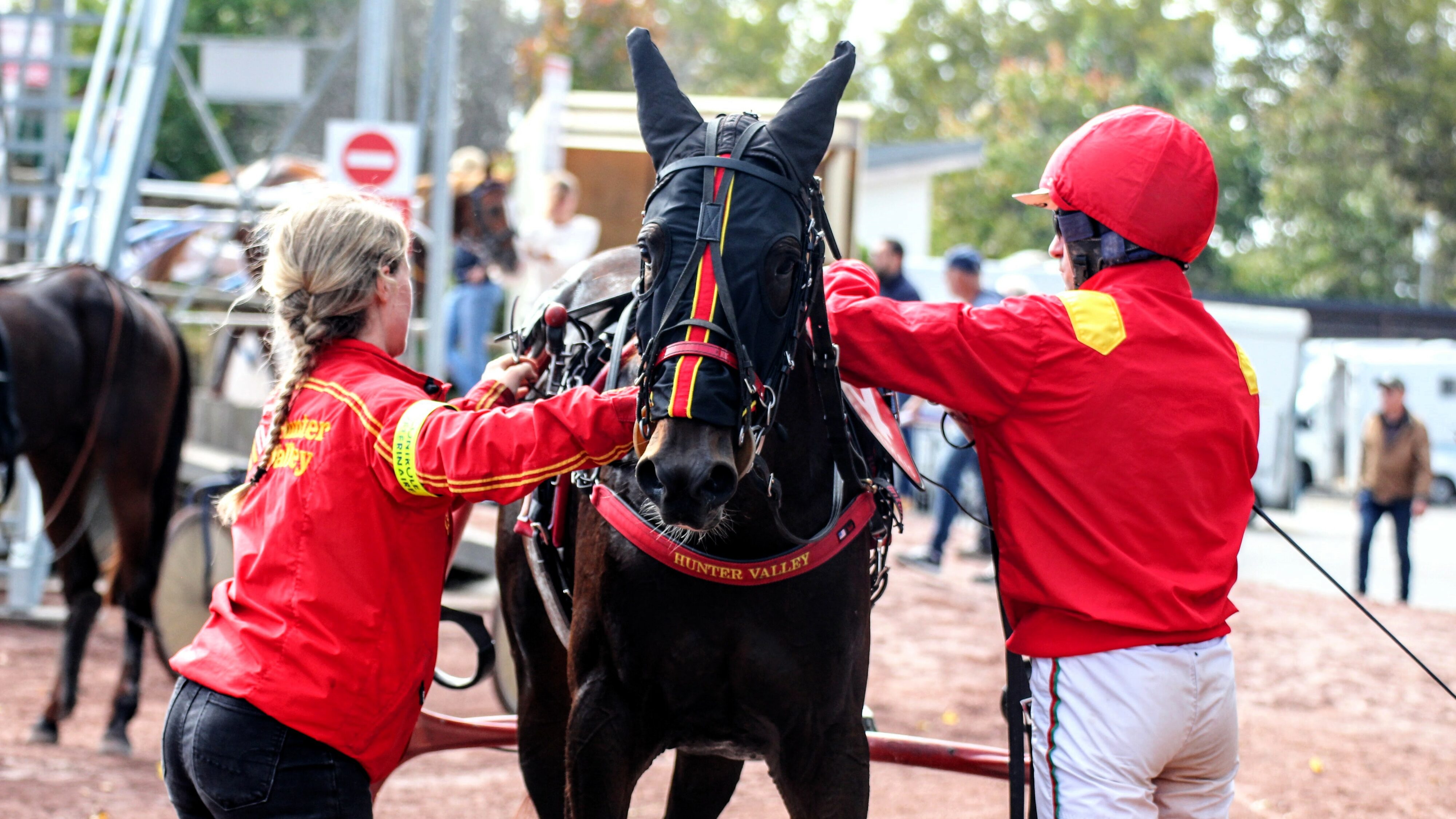 Pronostic PMU presse mardi 7 janvier 2025