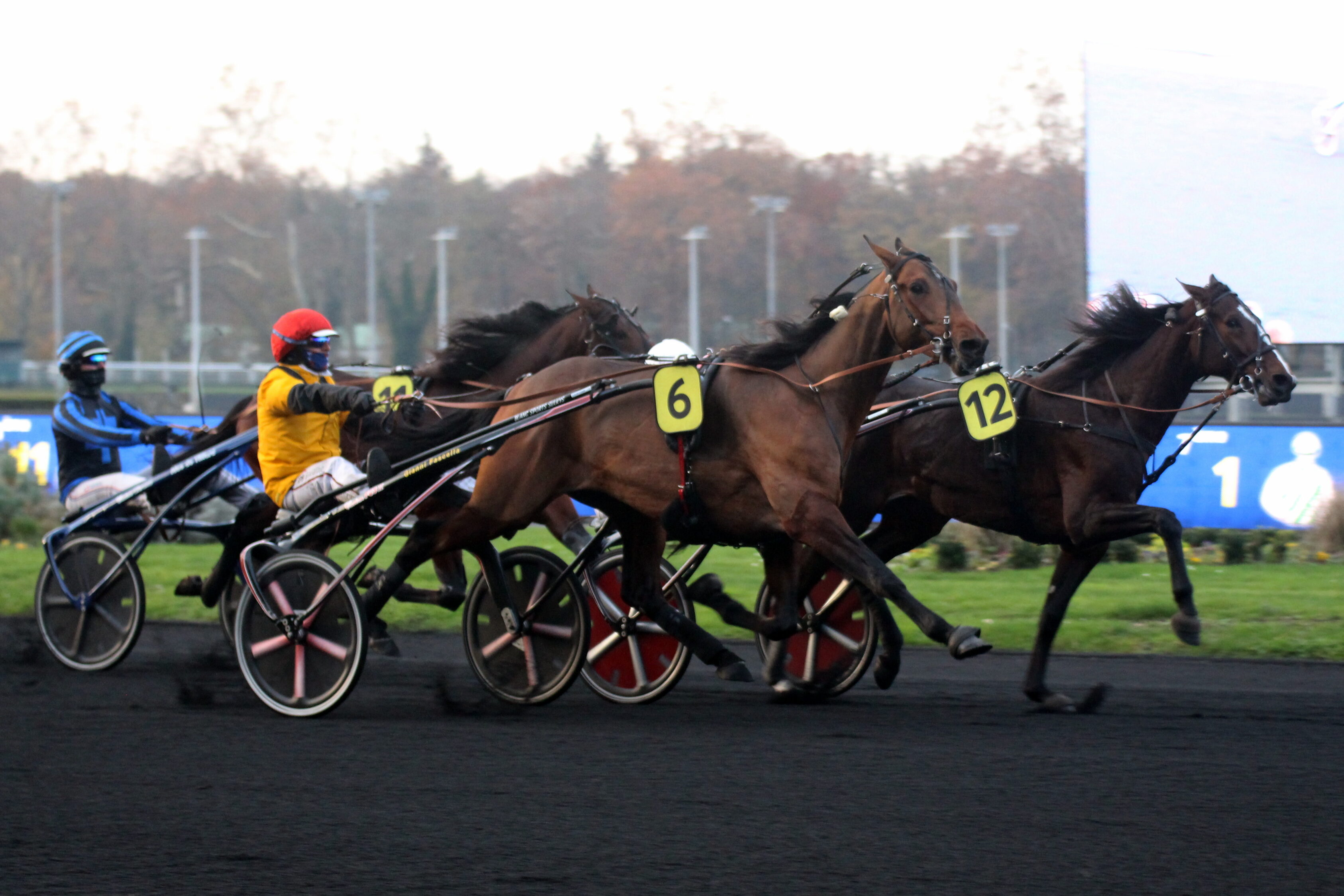 Pronostic Presse du dimanche 12 janvier 2025