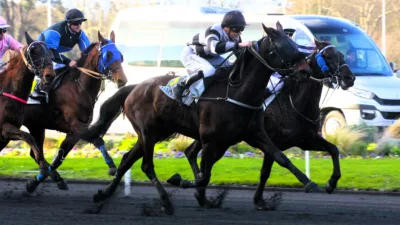 Pronostic quinté du dimanche 19 janvier 2025 - Prix de Cornulier