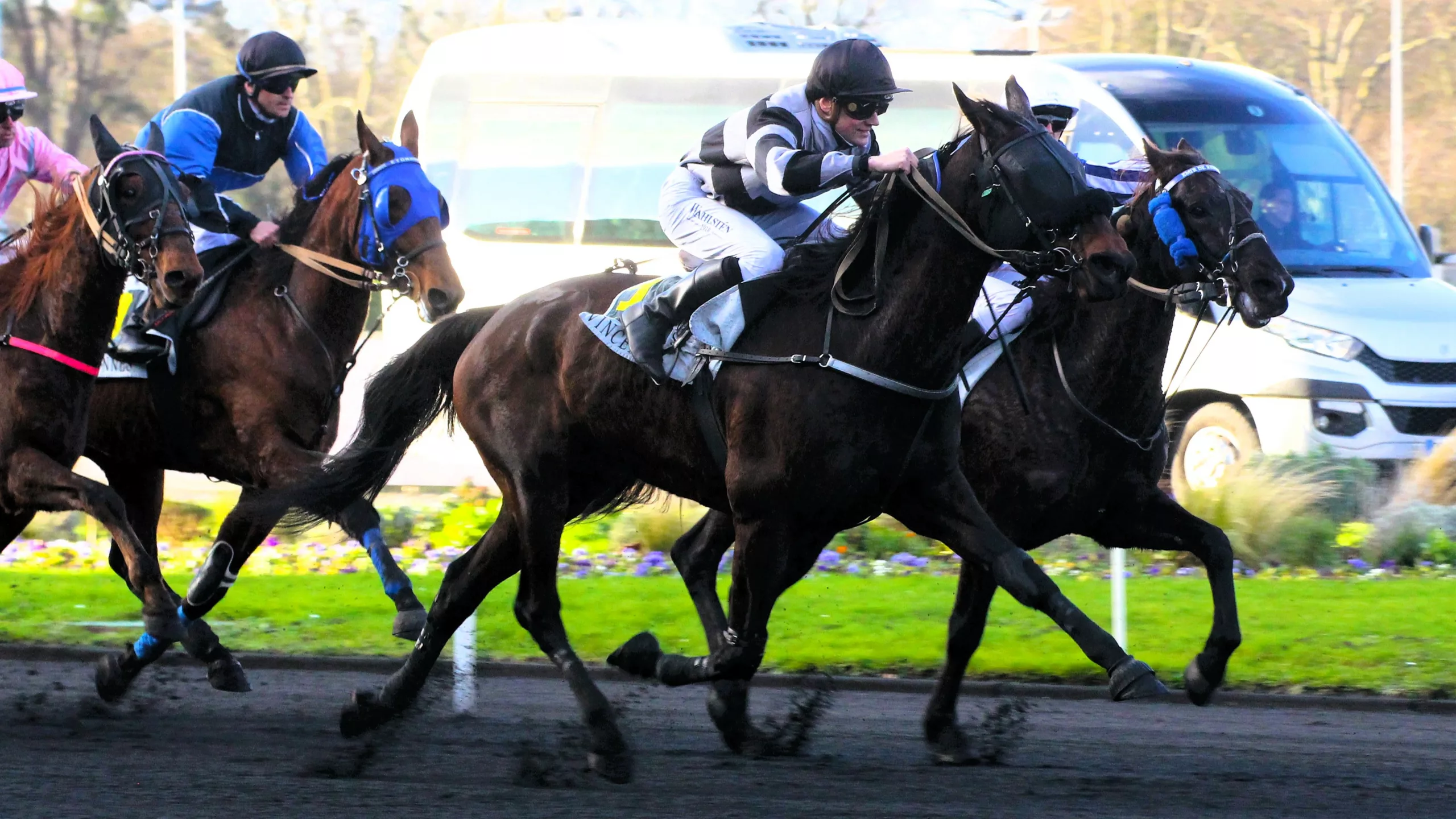 Pronostic quinté du dimanche 19 janvier 2025 - Prix de Cornulier