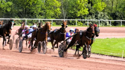 Pronostic Quinté du jeudi 13 février 2025