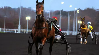Pronostic Quinté du vendredi 14 février 2025