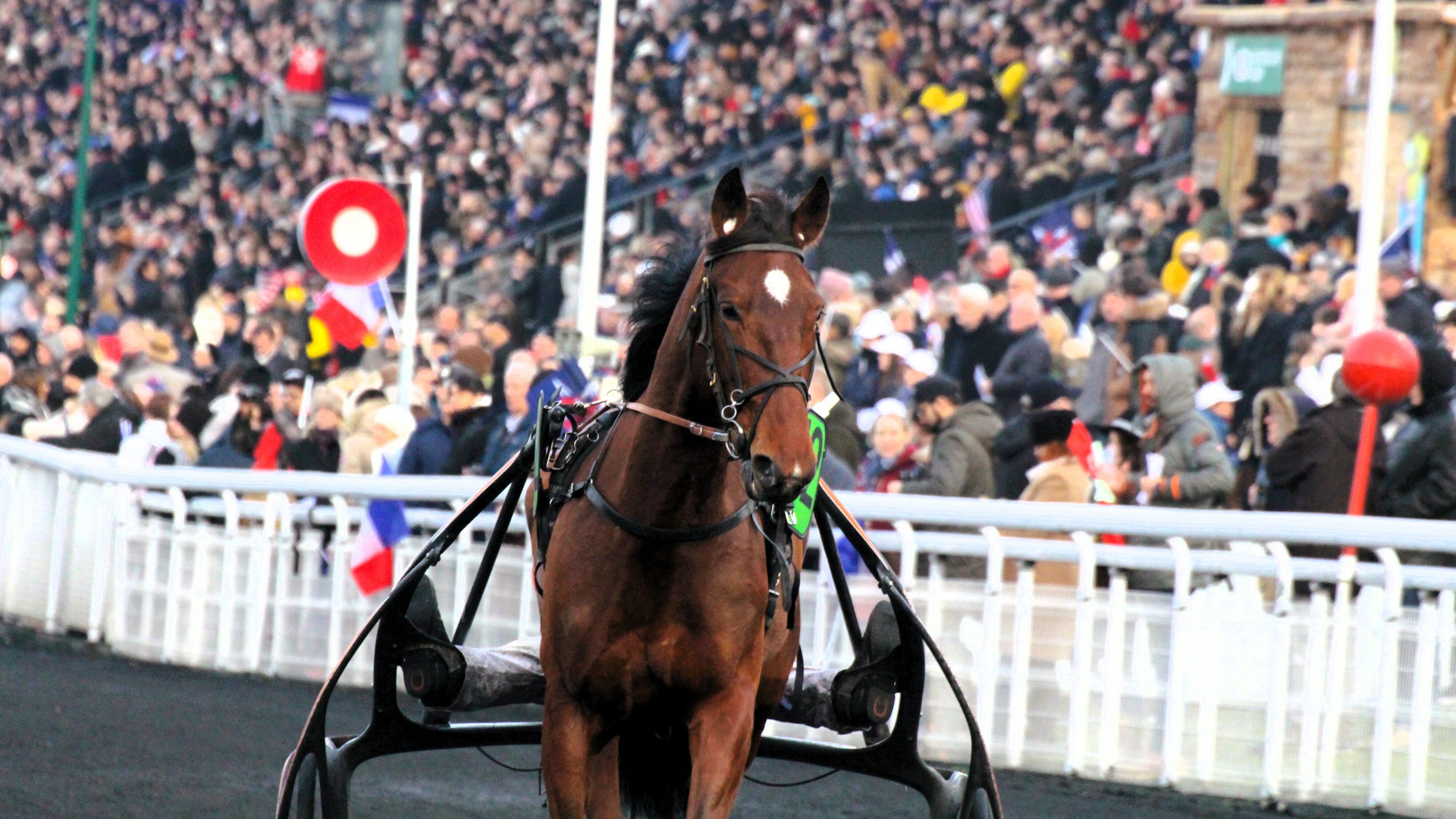 Pronostic presse PMU quinté du dimanche 26 janvier 2025