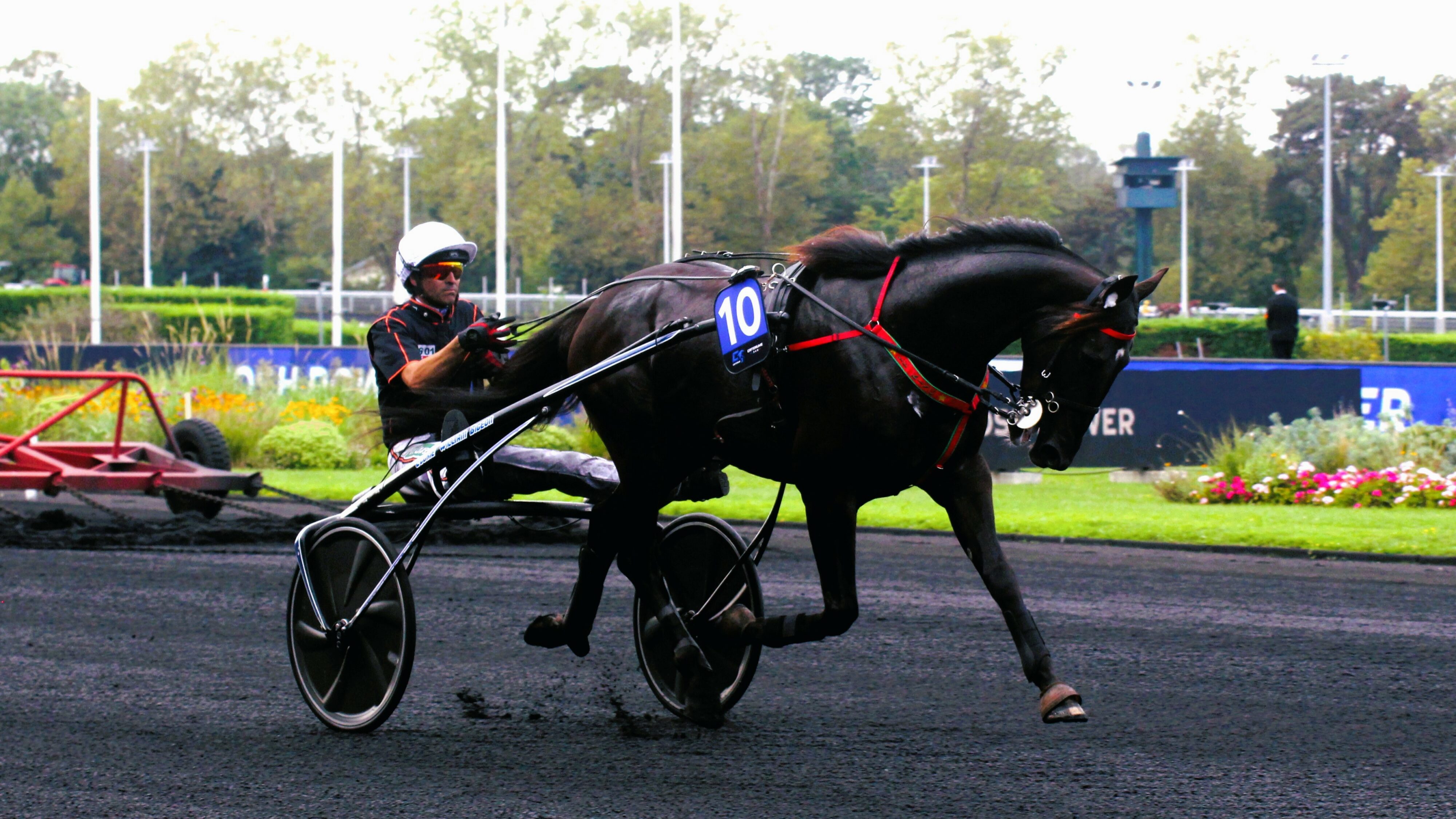 Pronostic presse PMU vendredi 3 janvier 2025