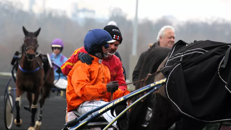 Pronostic quinté PMU du dimanche 12 janvier 2025