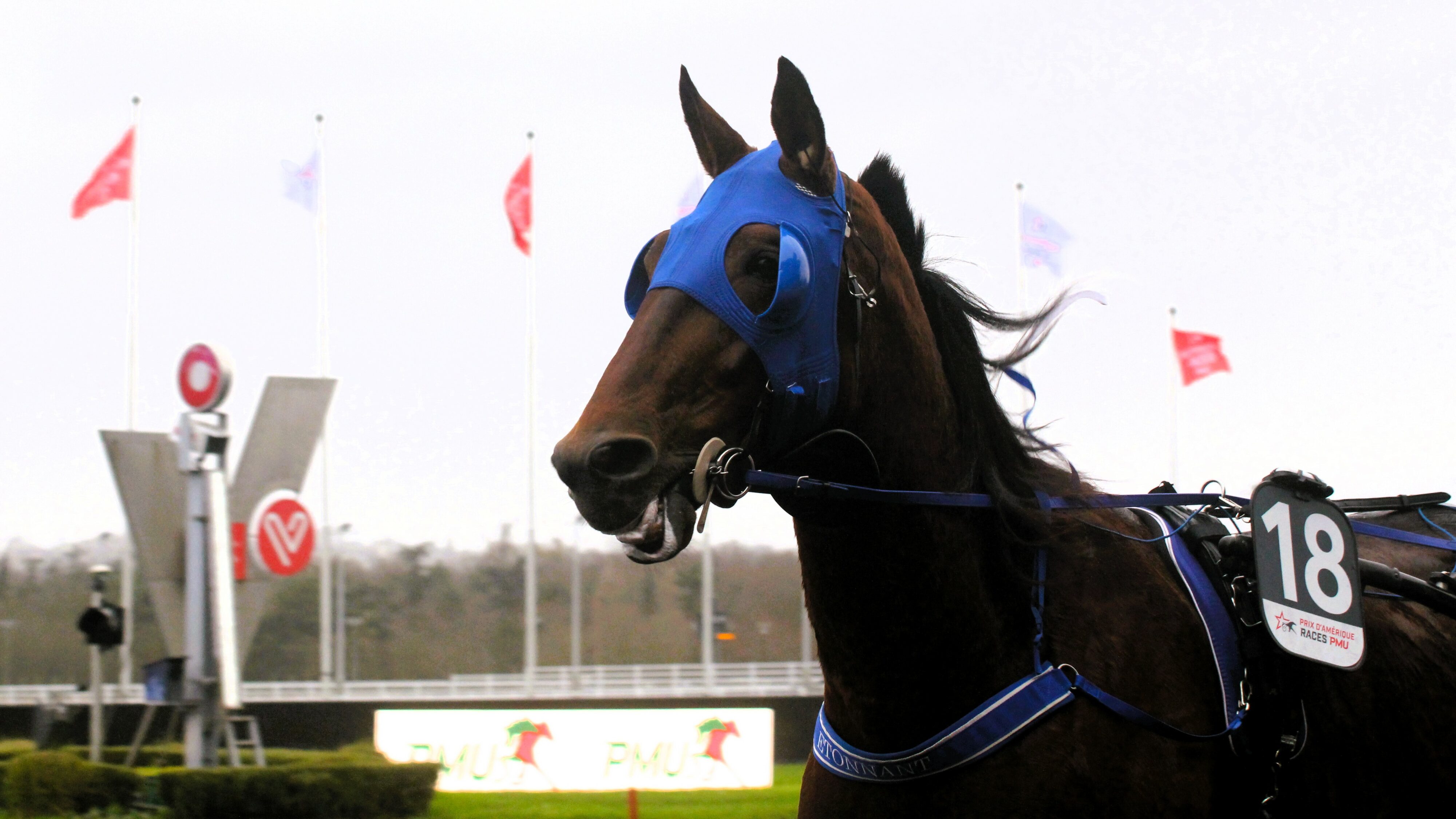 Pronostics presse pmu du jeudi 16 janvier 2025