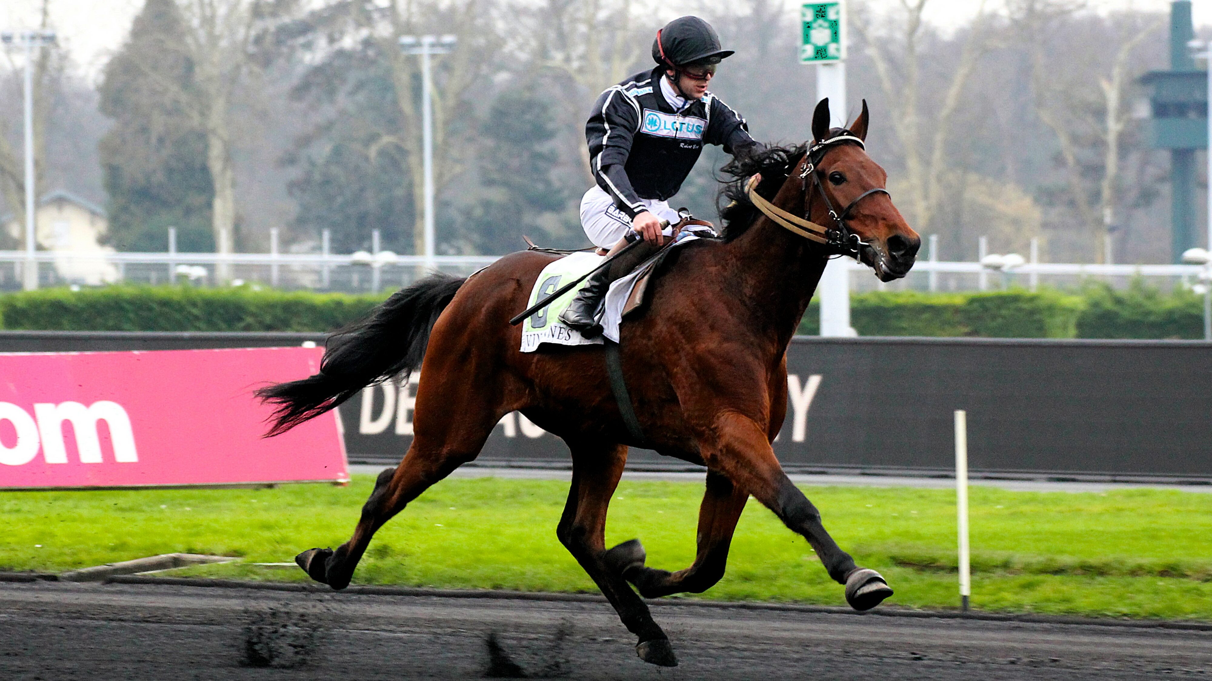 Résultat quinté du dimanche 19 janvier 2025