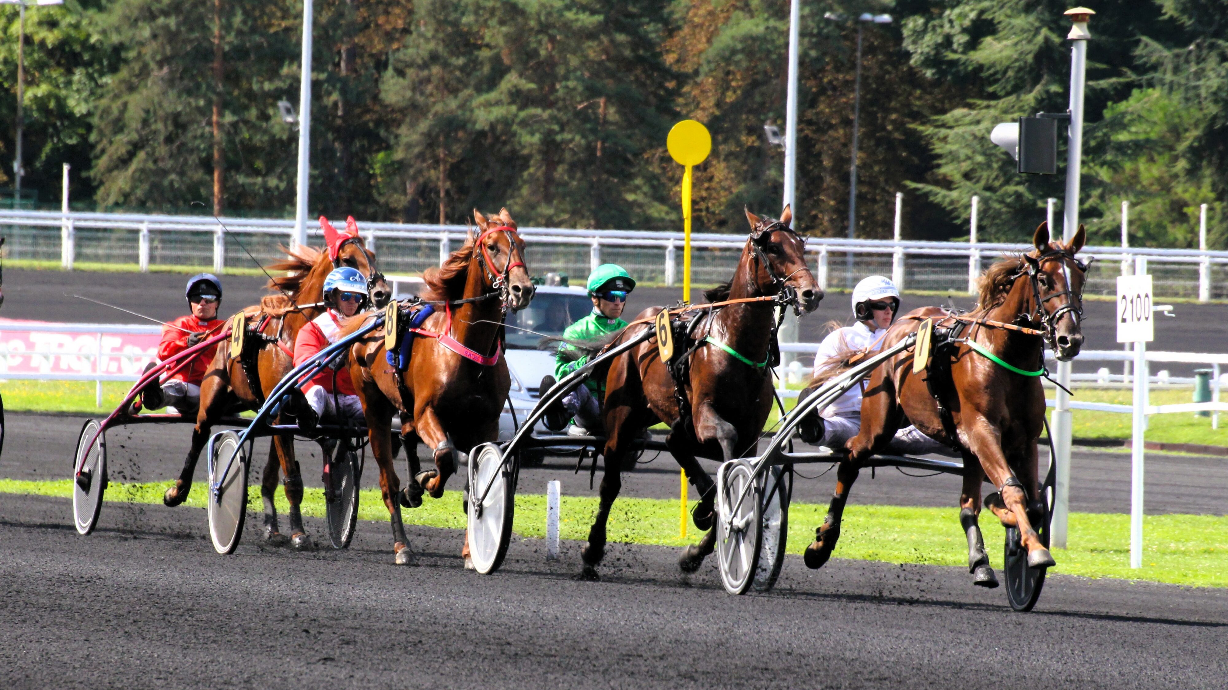 Résultat quinté du samedi 8 février 2025