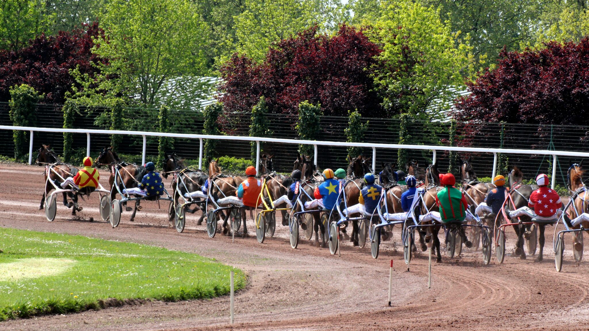 Pronostics de la presse PMU • Quinté du dimanche 2 mars 2025