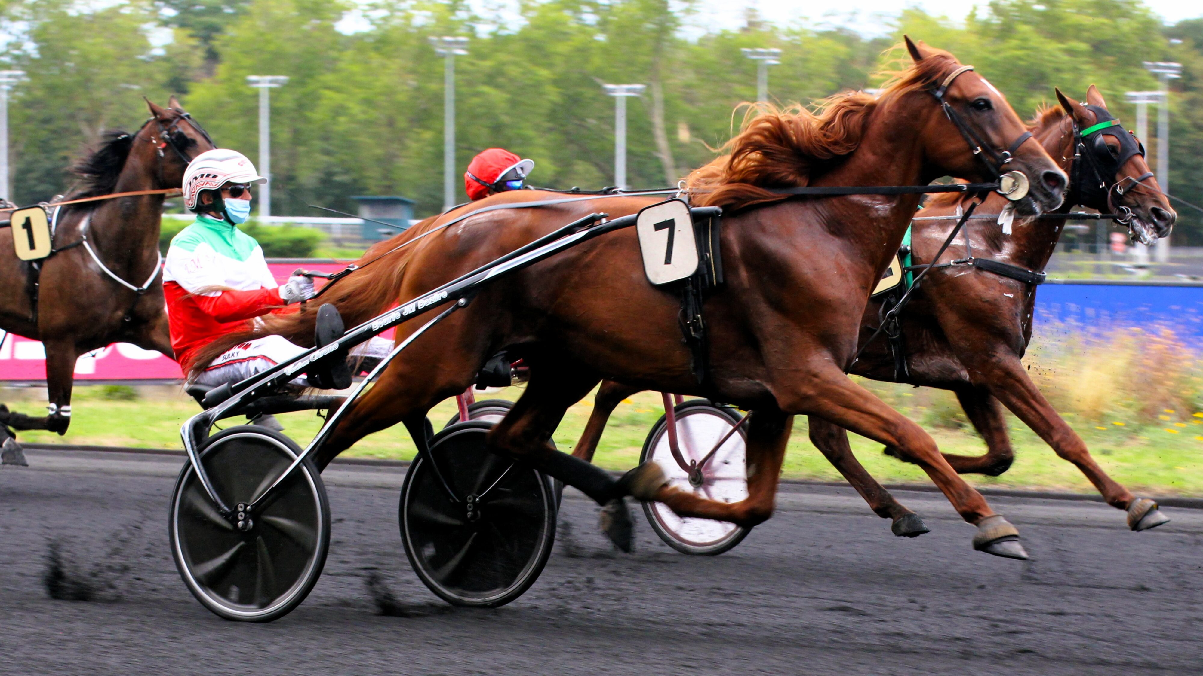Résultat quinté du mardi 11 février 2025