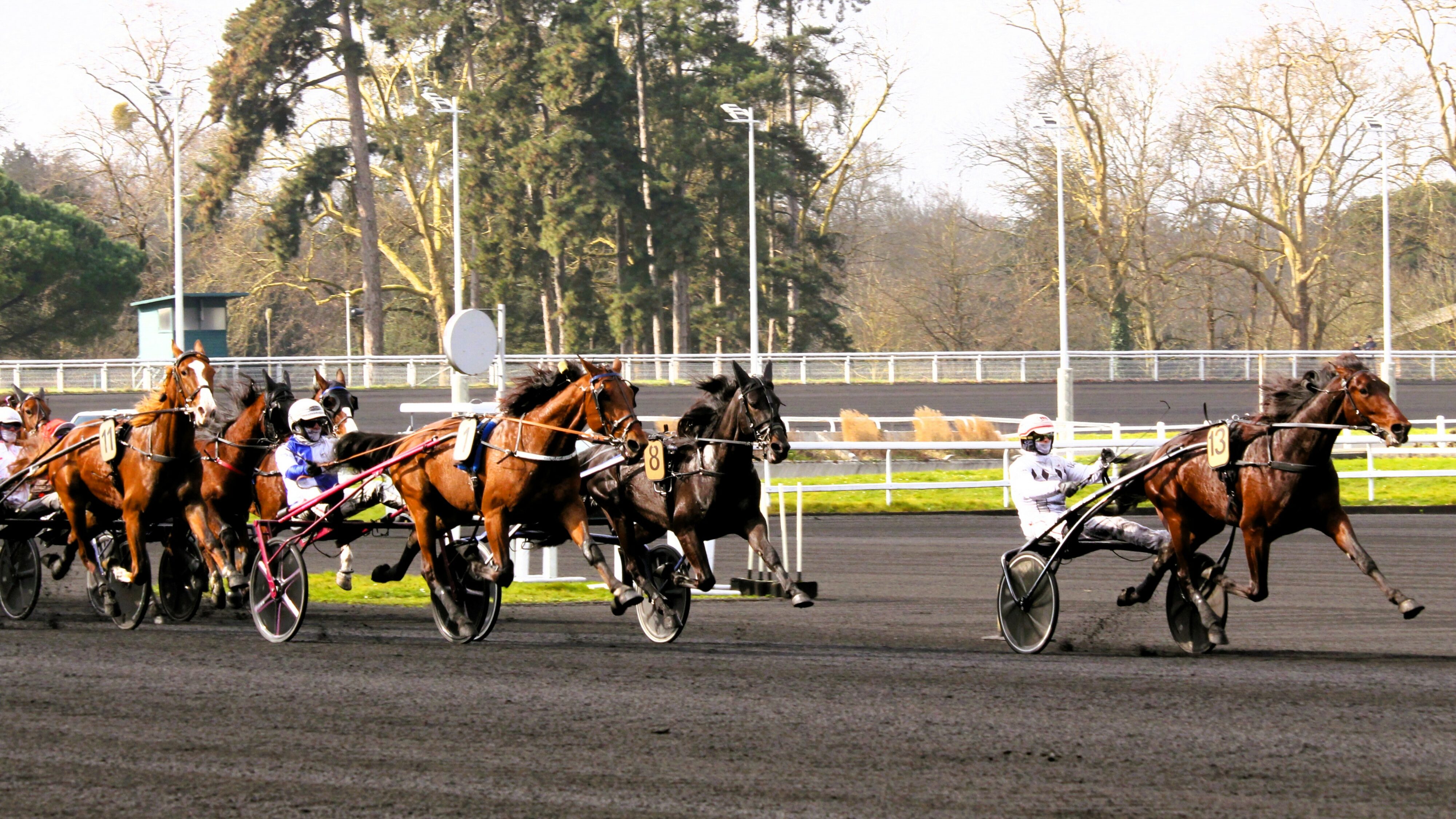 Résultat PMU du samedi 19 avril 2025