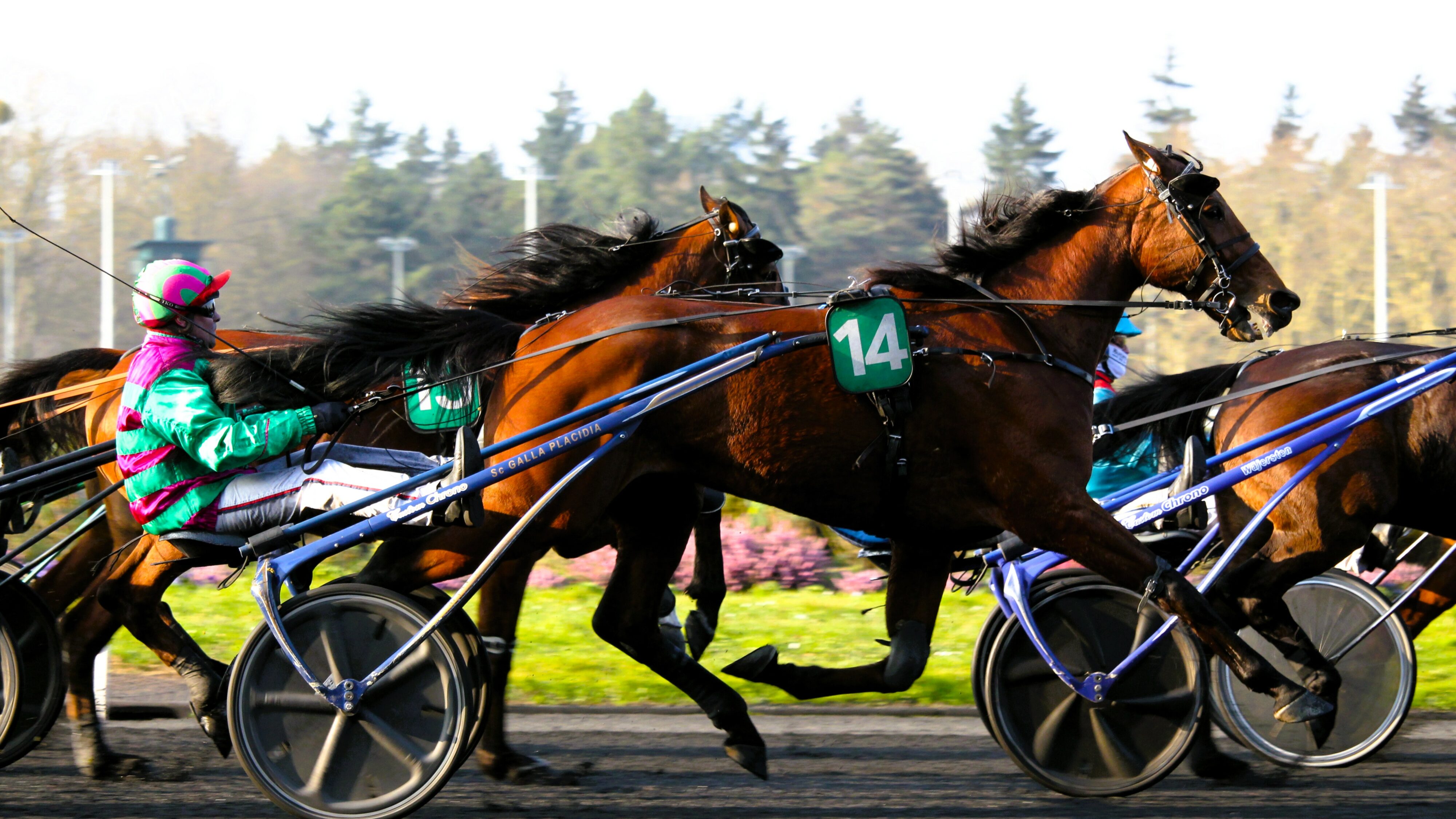 Résultat PMU du samedi 5 avril 2025