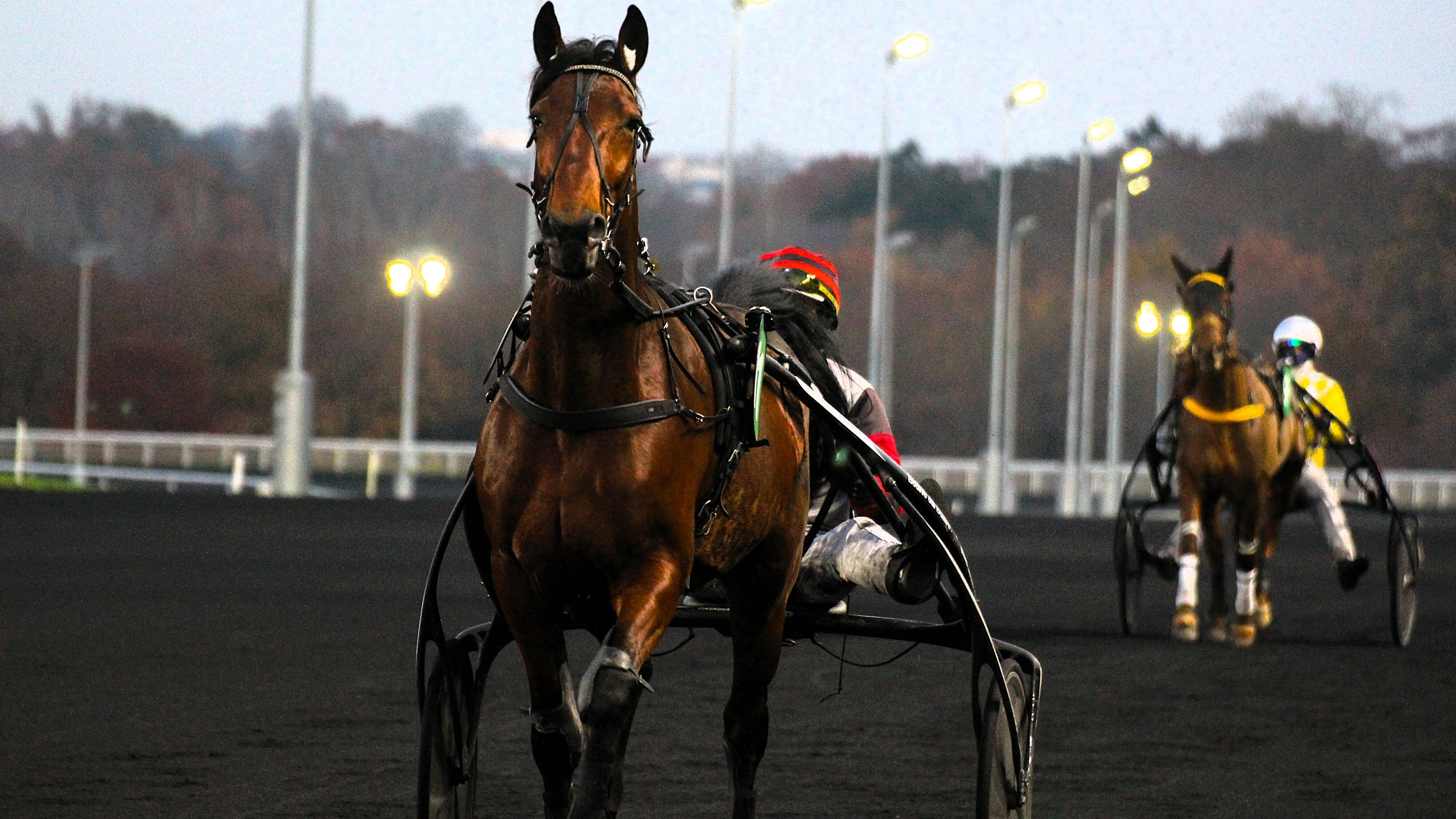 Résultat du quinté du vendredi 28 mars 2025