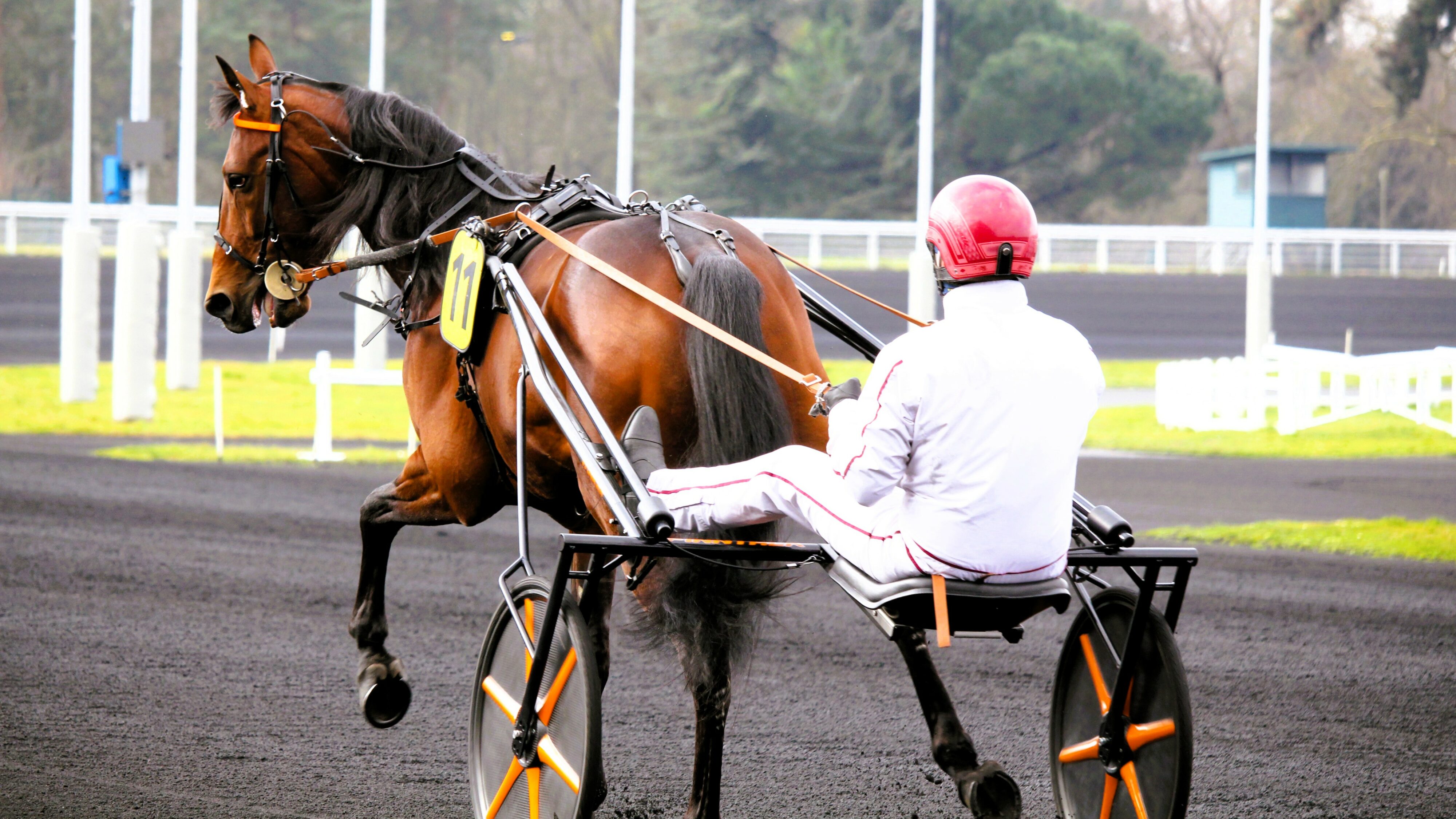 Pronostic PMU du mercredi 23 avril 2025