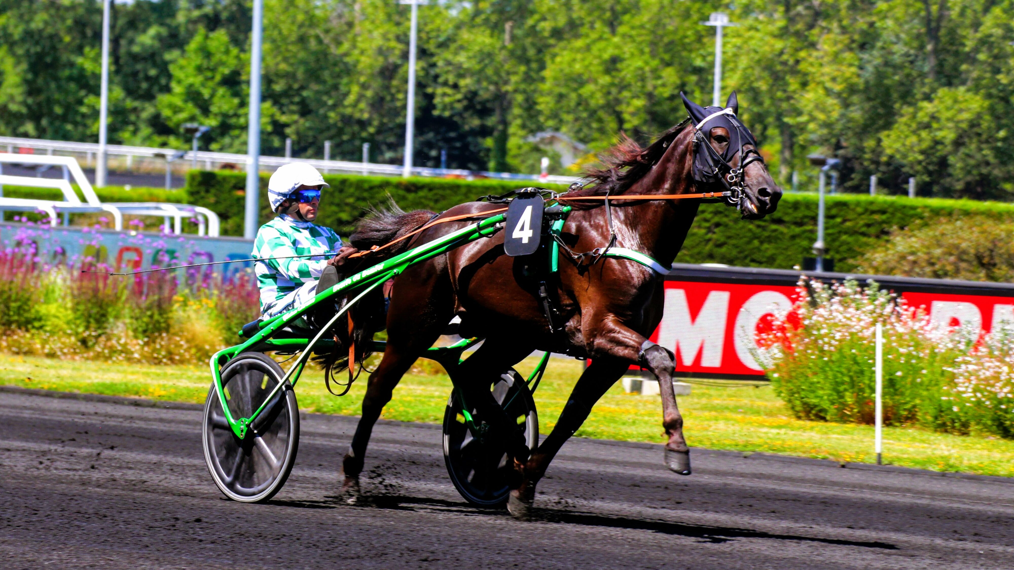 Pronostic PMU du vendredi 25 avril 2025